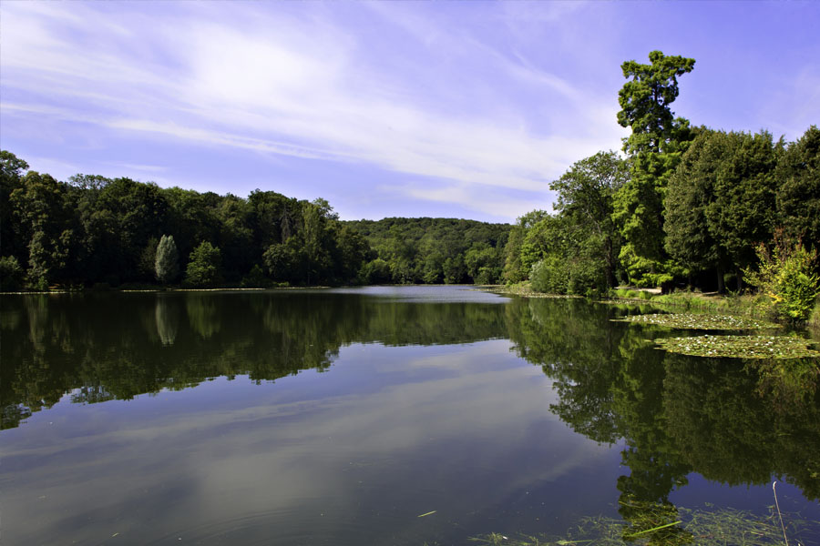 Forêt de Fausses Reposes.