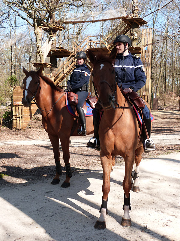 Brigade équestre de la Garde républicaine en patrouille avec la Police Verte de GPSO.