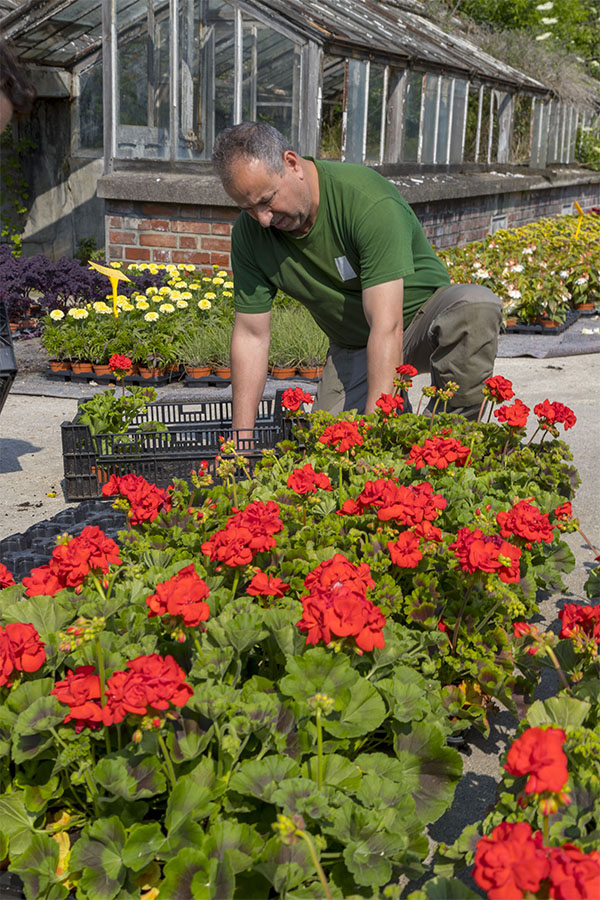 Jardinier fleuriste de GPSO