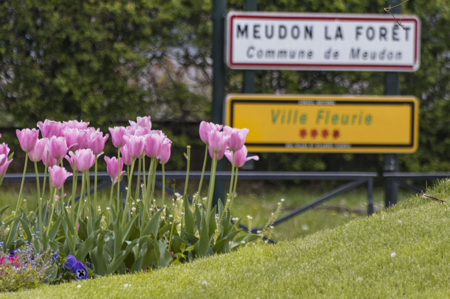 Meudon, ville fleurie