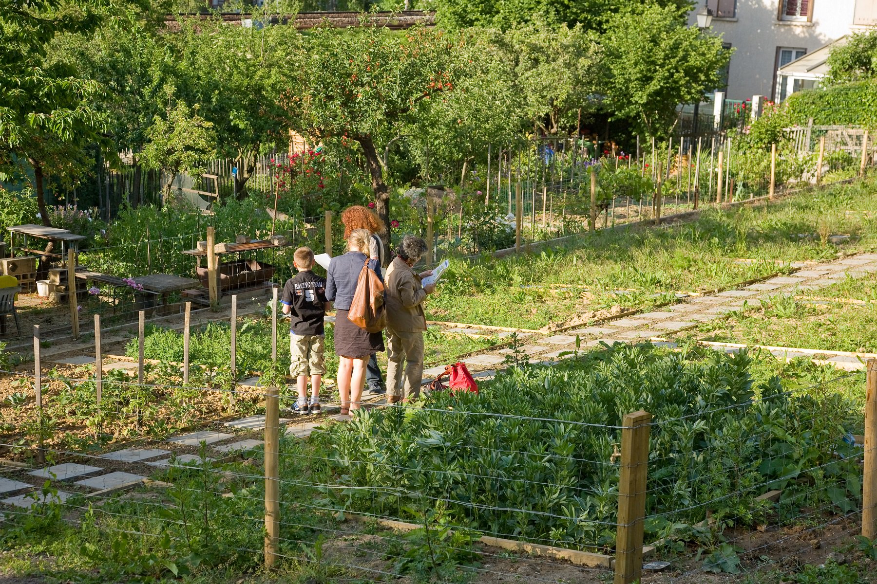 Chemin des Vignes, à Issy-les-Moulineaux