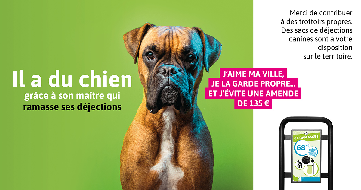 Il a du chien grâce à son maître qui ramasse ses déjections / J'aime ma ville, je la garde propre... et j'évite une amende de 135€ / Merci de contribuer à des trottoirs propres. Des sacs de déjections canines sont à votre disposition sur le territoire