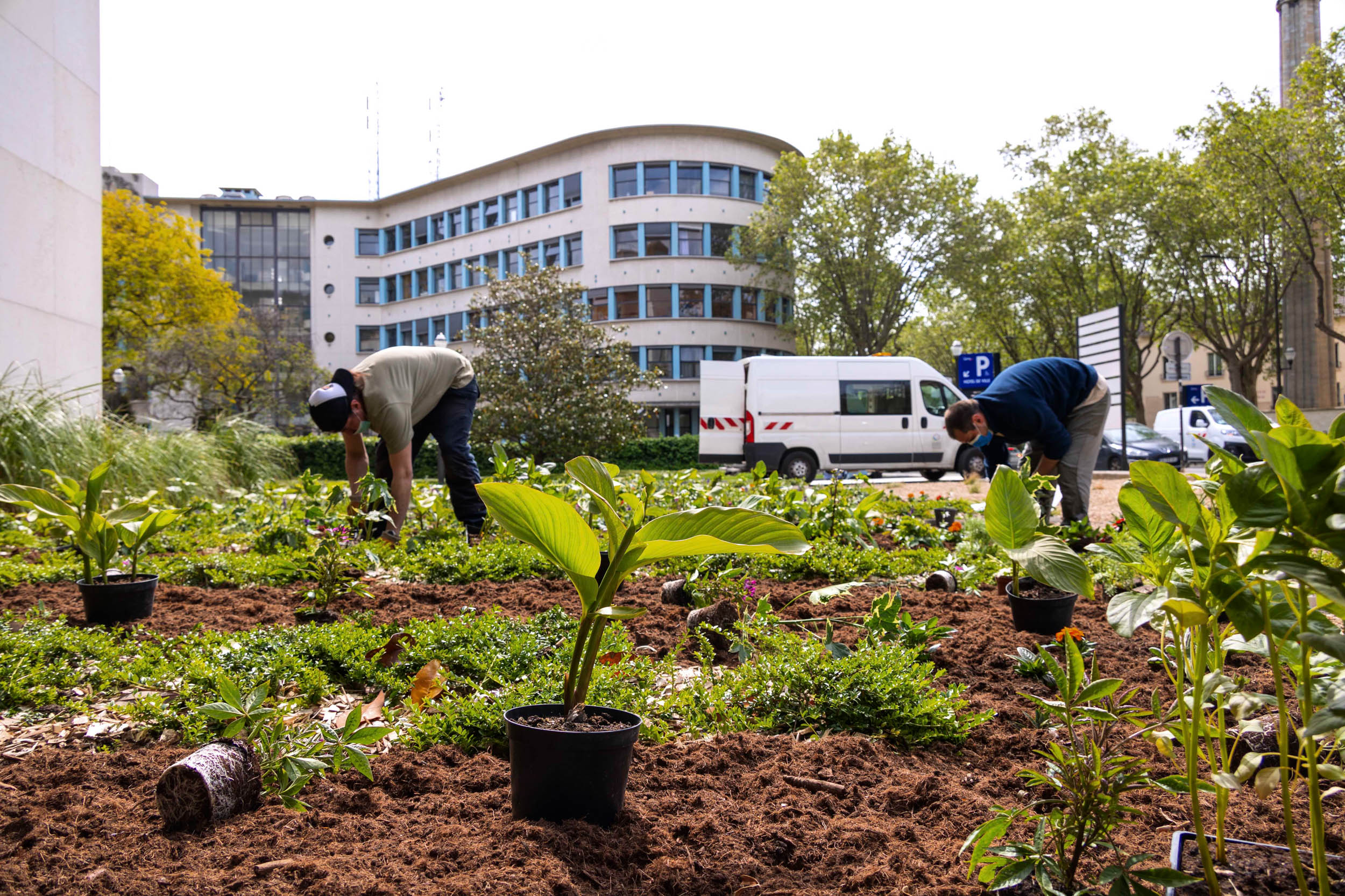 Jardiniers du fleurissement estival 2021 à Boulogne-Billancourt