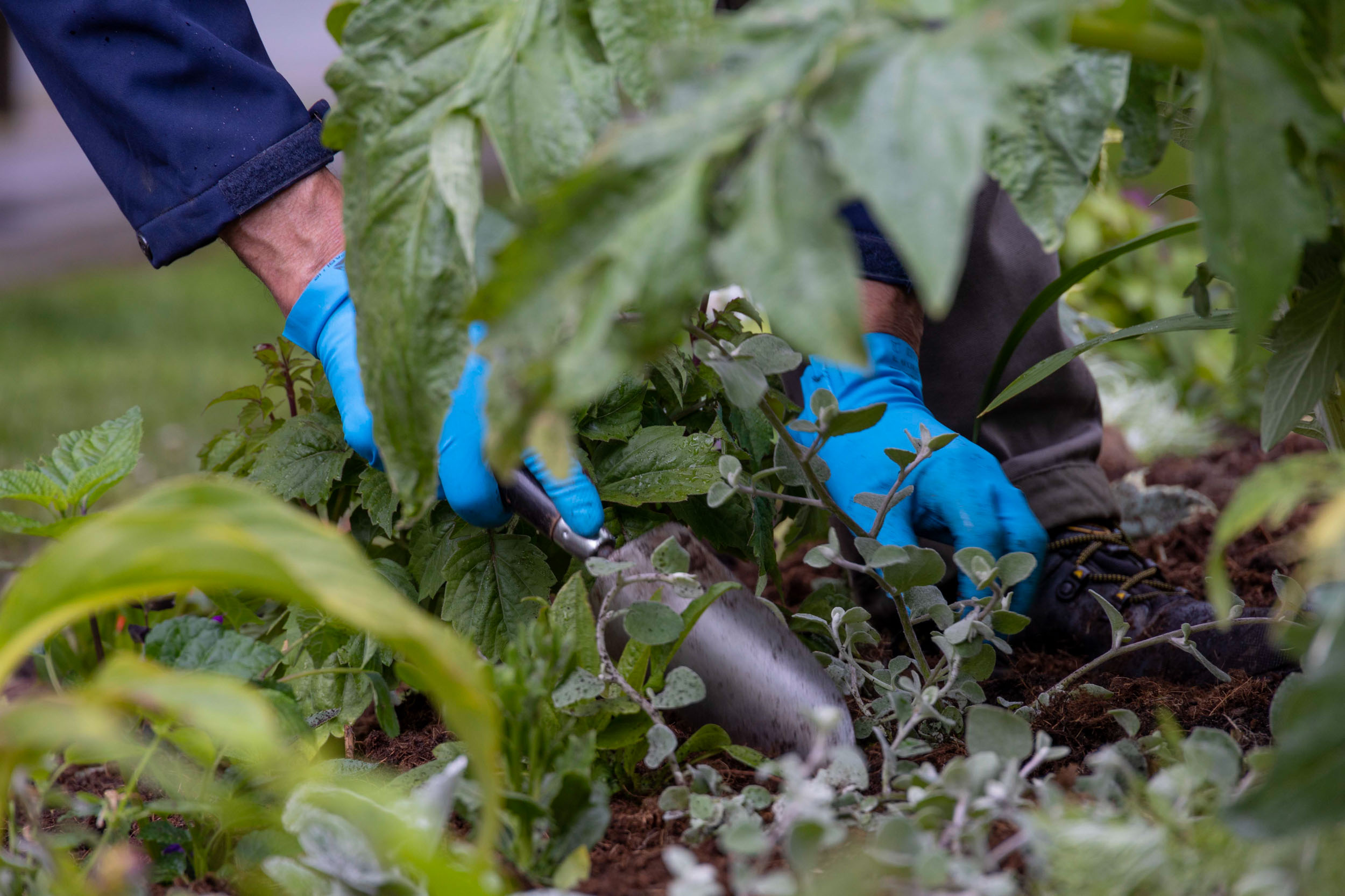 Jardiniers / fleurissement estival 2021 à Boulogne-Billancourt