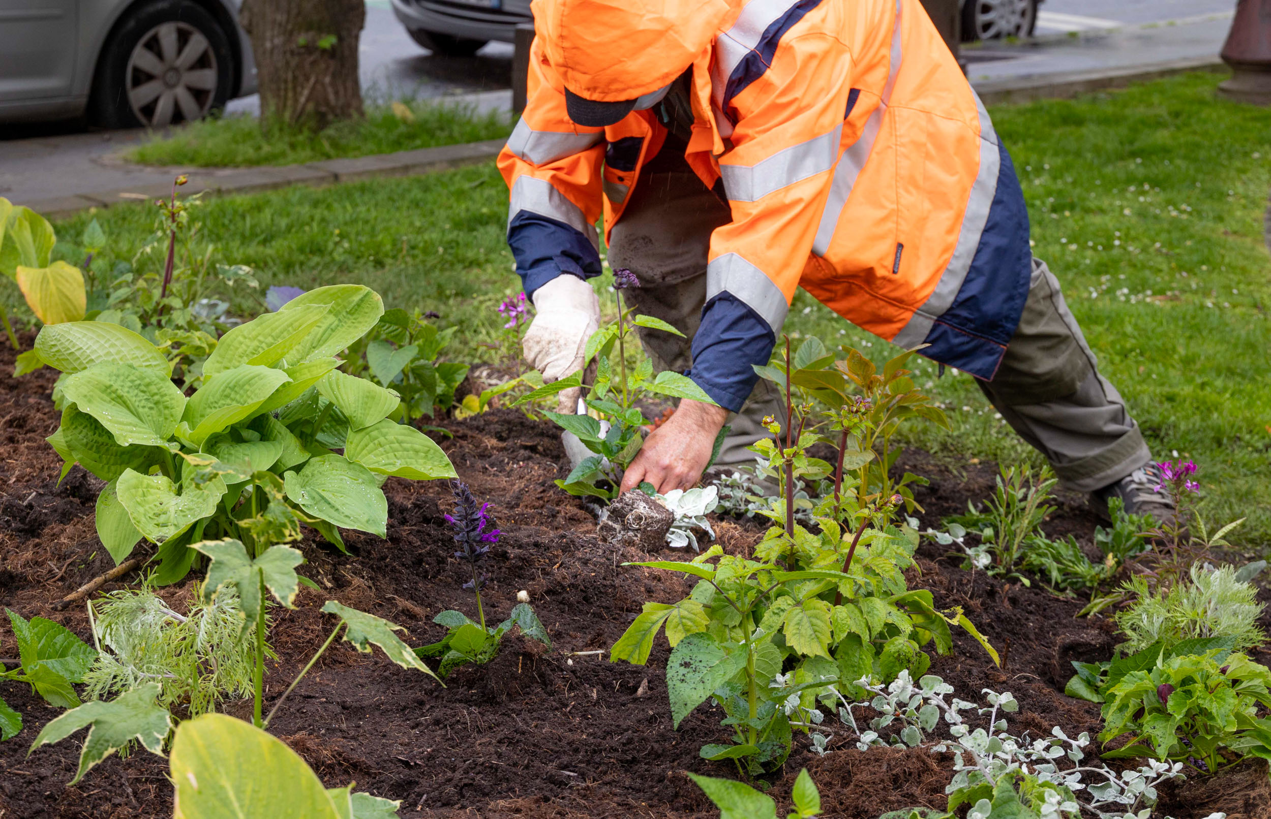 Jardiniers / fleurissement estival 2021 à Boulogne-Billancourt