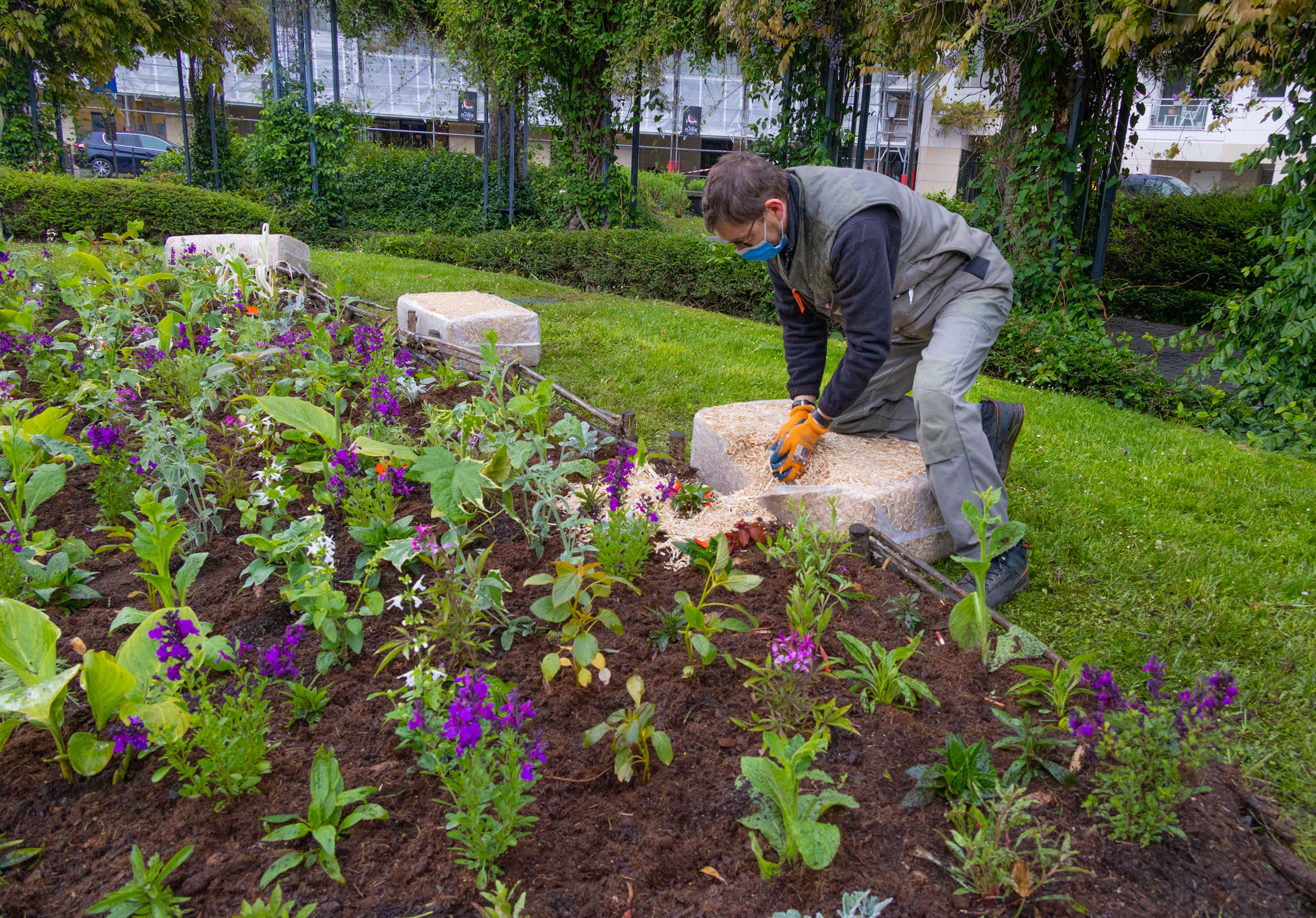 Jardiniers / fleurissement estival 2021 à Boulogne-Billancourt