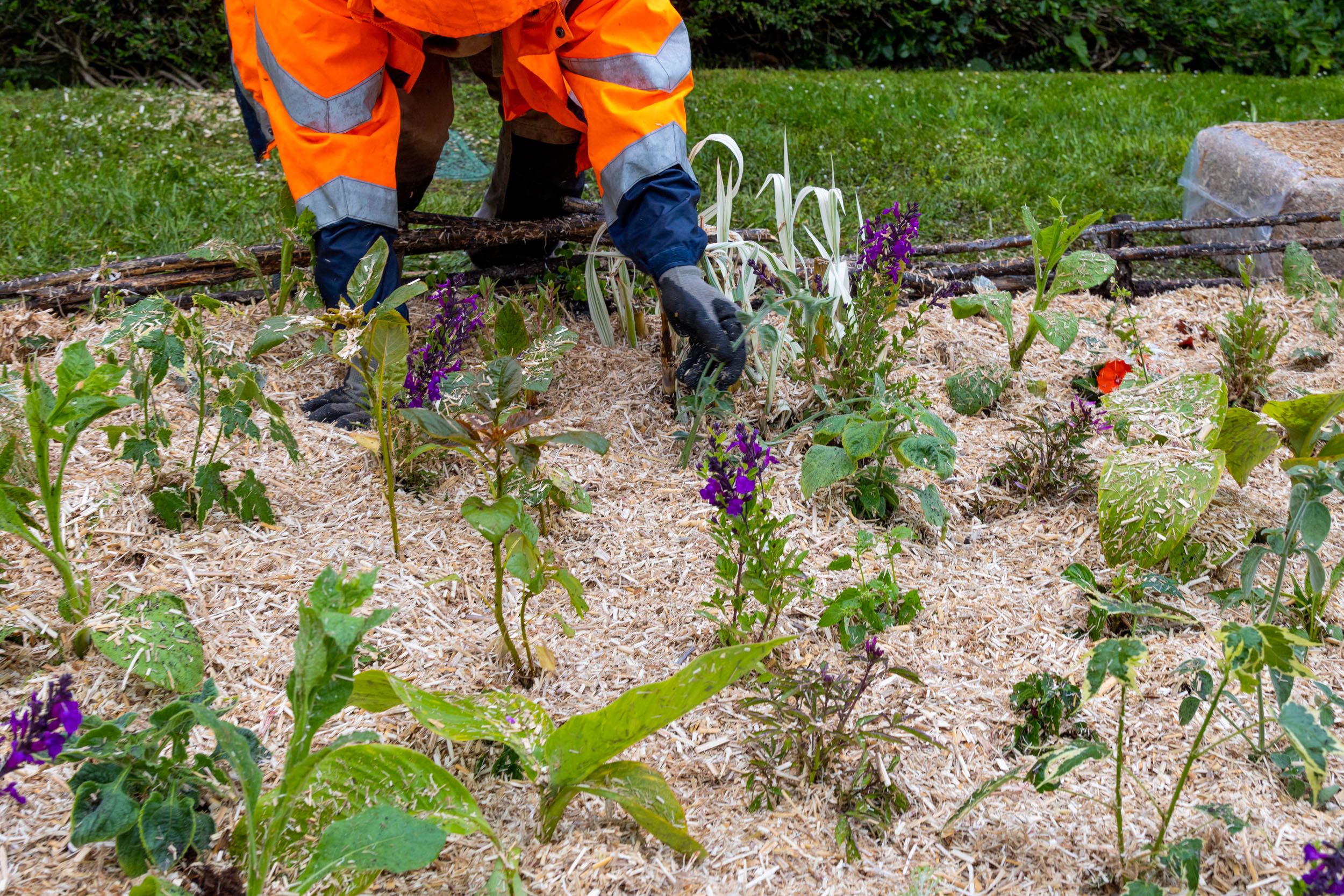 Jardiniers / fleurissement estival 2021 à Boulogne-Billancourt