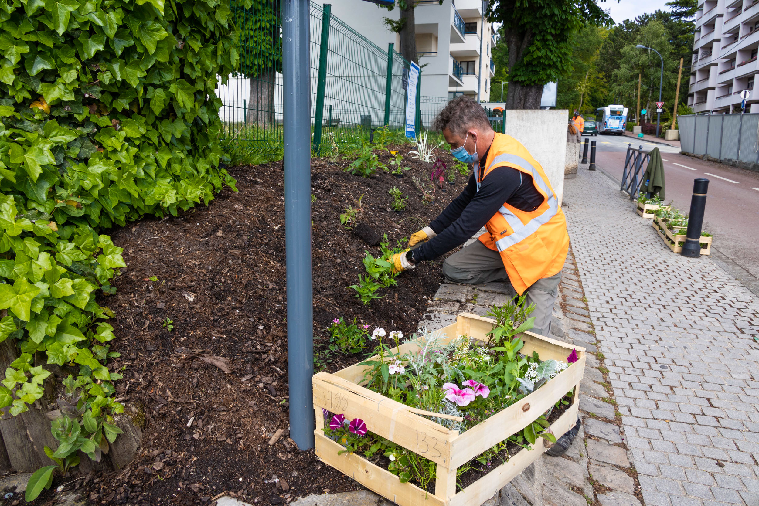 Jardiniers à Chaville, fleurissement estival 2021