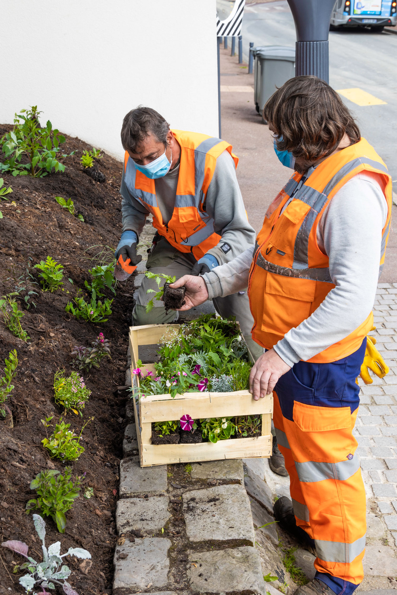 Jardiniers à Chaville, fleurissement estival 2021