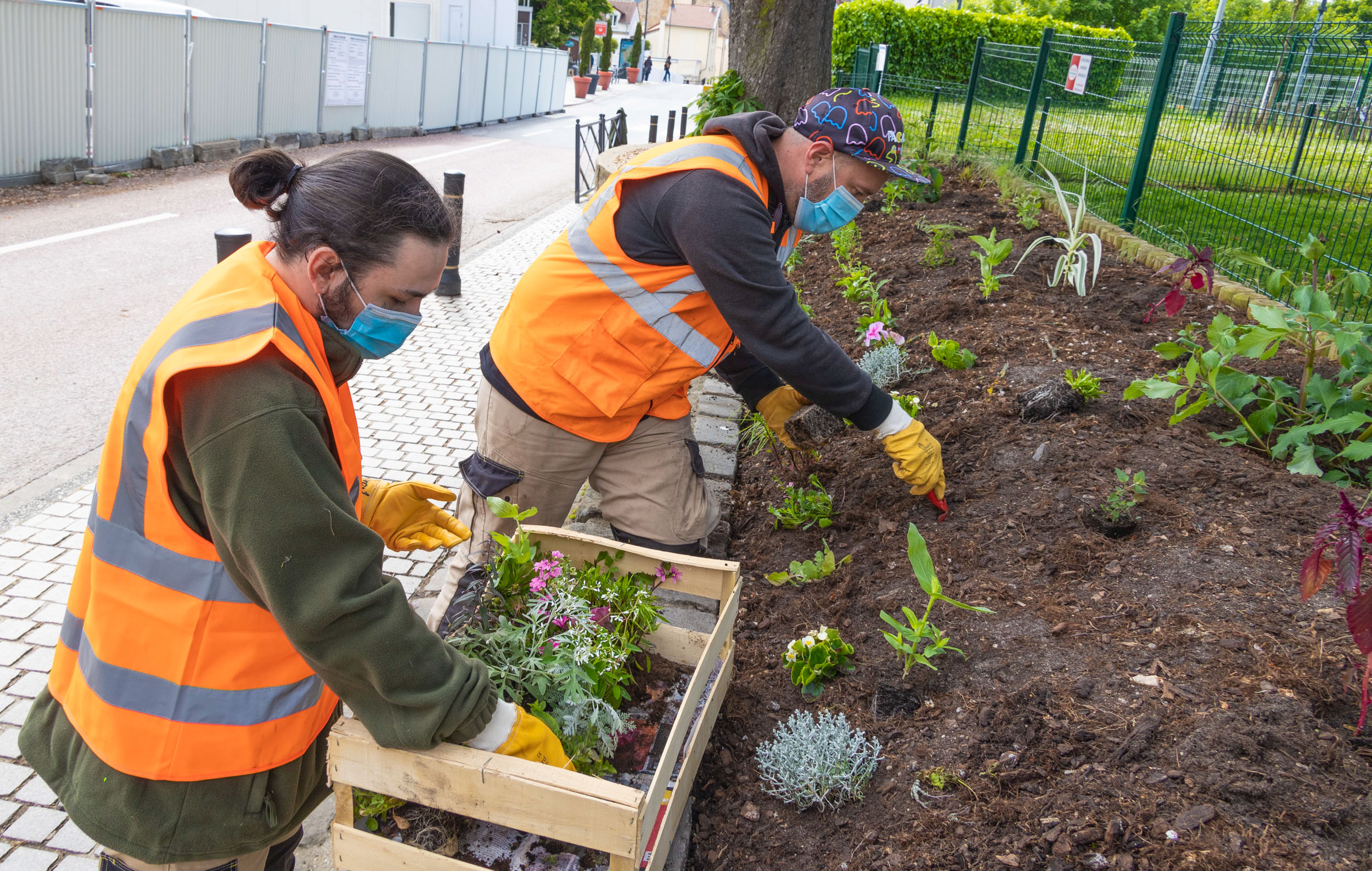 Jardiniers à Chaville, fleurissement estival 2021