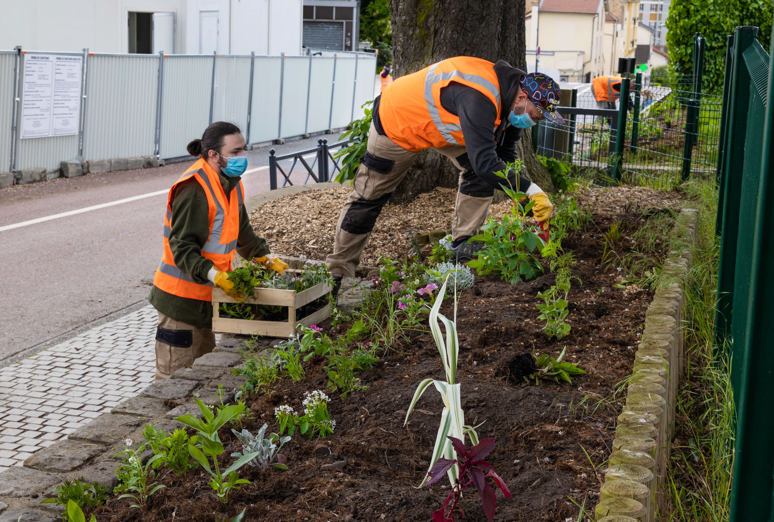 Jardiniers à Chaville, fleurissement estival 2021