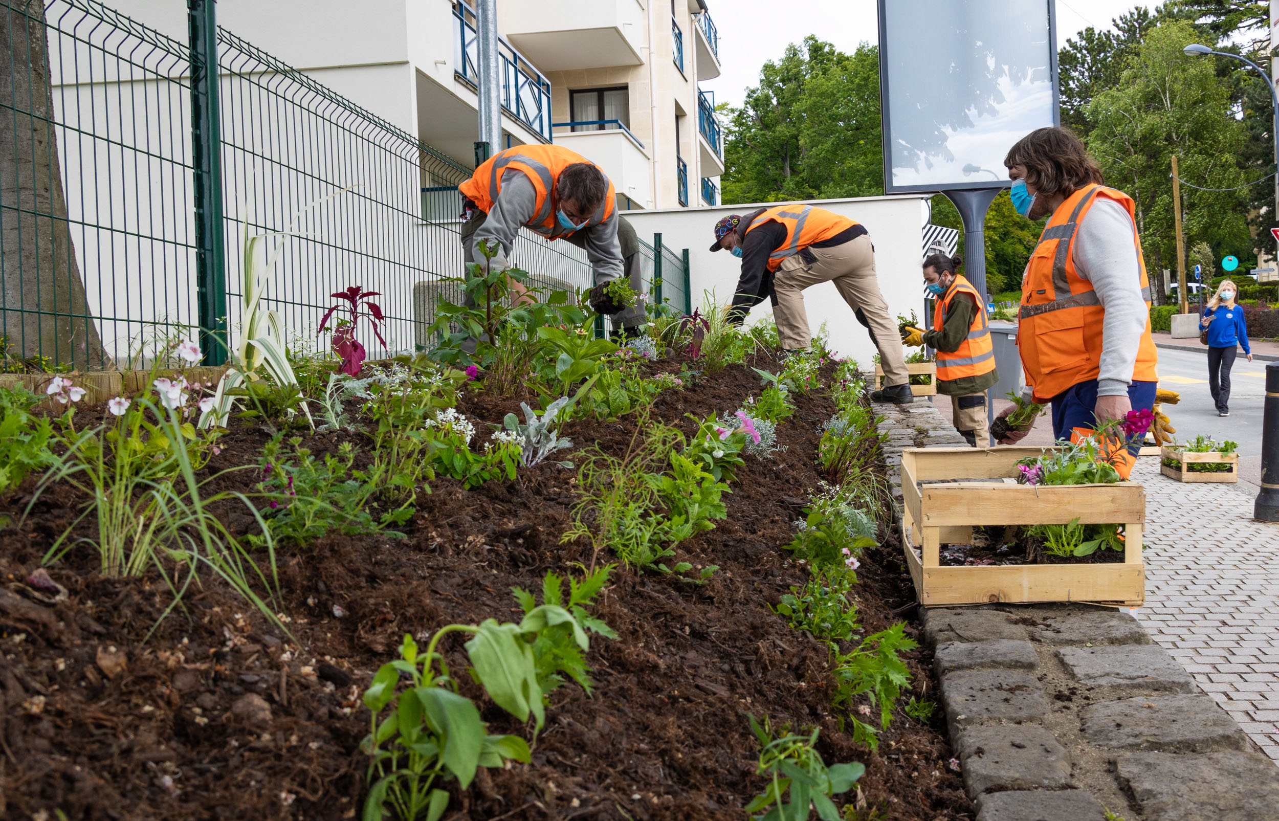 Jardiniers à Chaville, fleurissement estival 2021