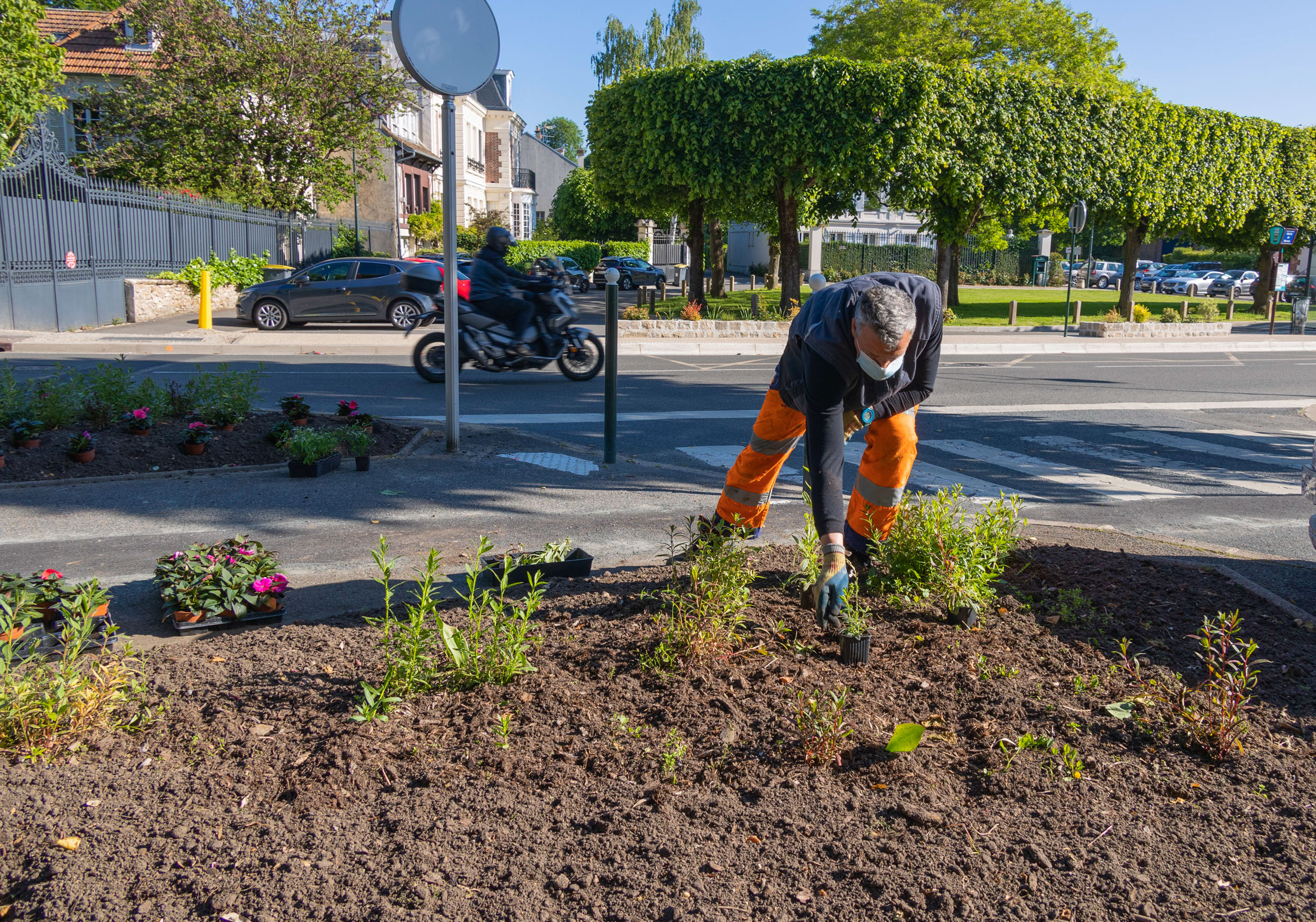 Jardiniers à Marnes-la-Coquette, fleurissement estival 2021