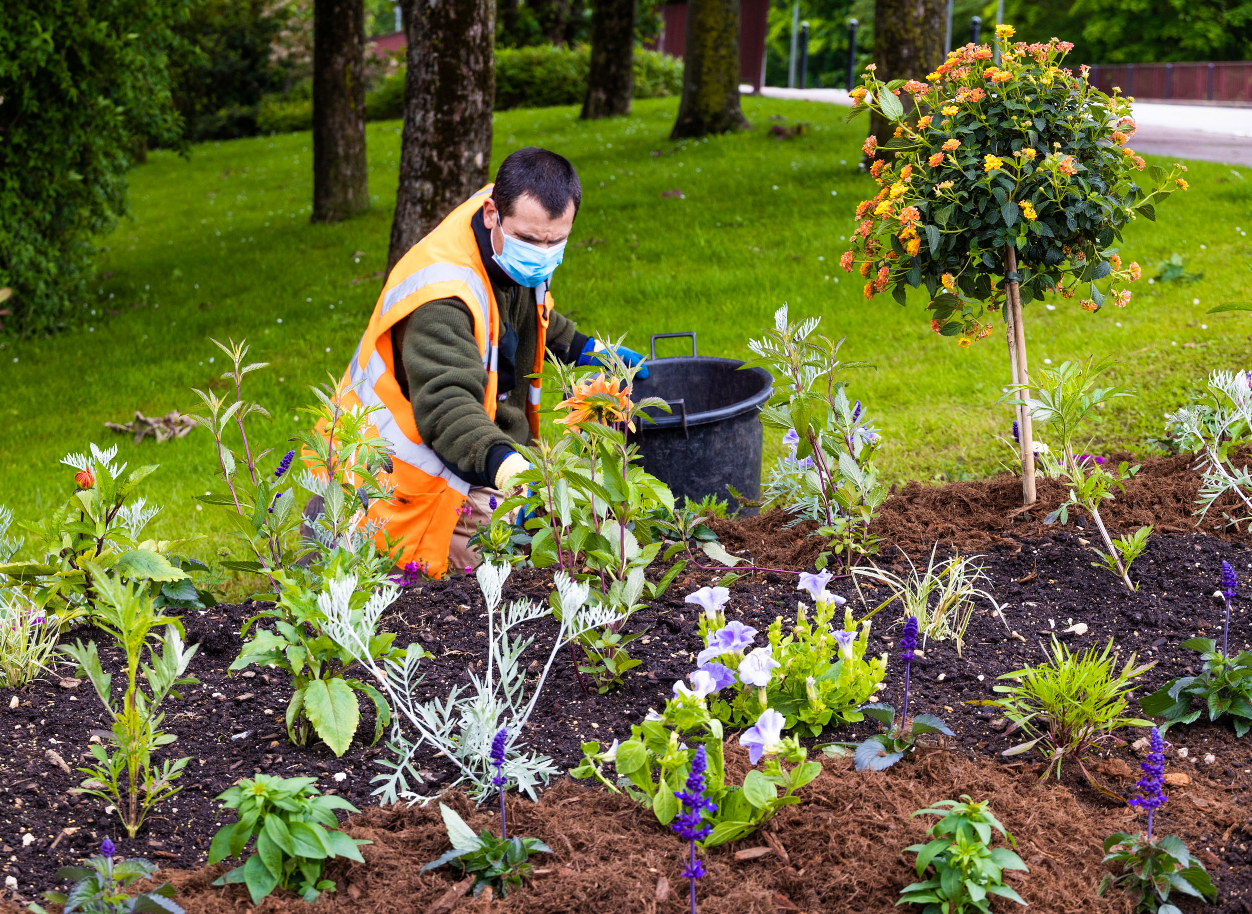 Jardiniers / fleurissement estival 2021 à Sèvres