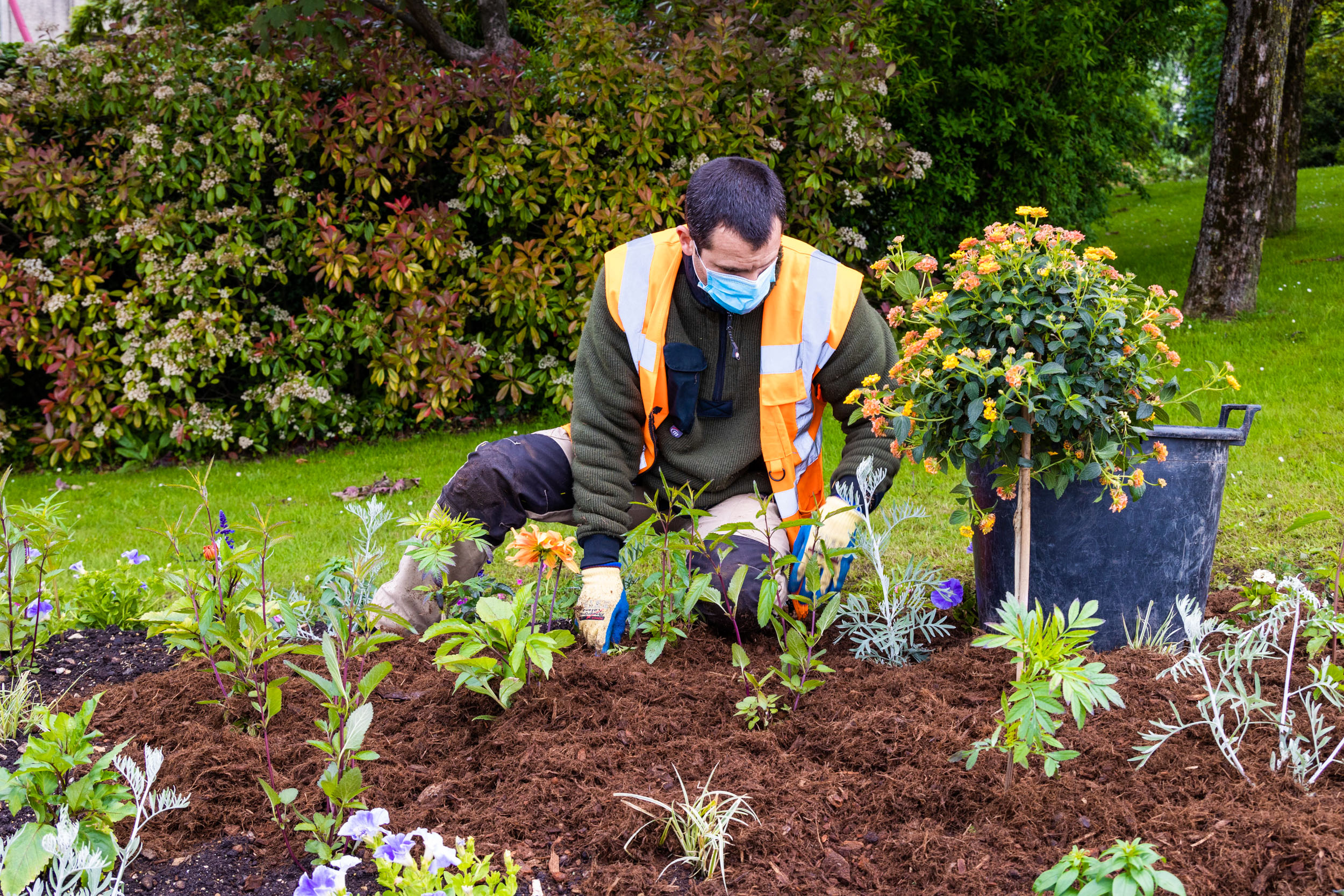 Jardiniers / fleurissement estival 2021 à Sèvres