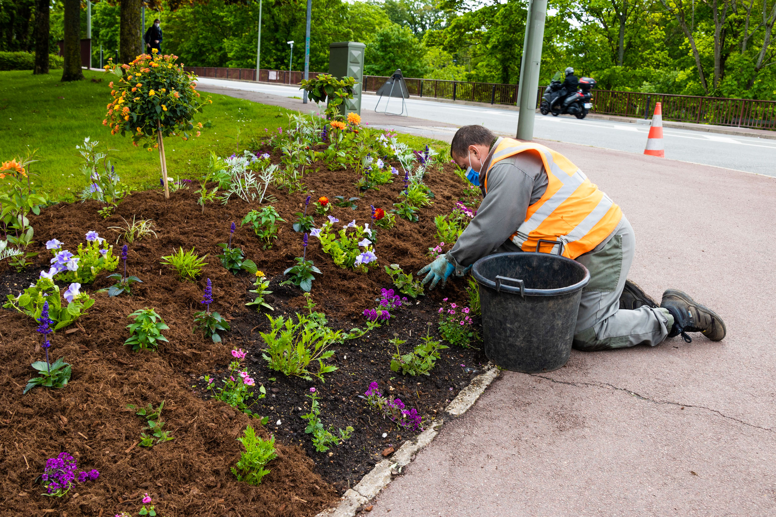 Jardiniers / fleurissement estival 2021 à Sèvres