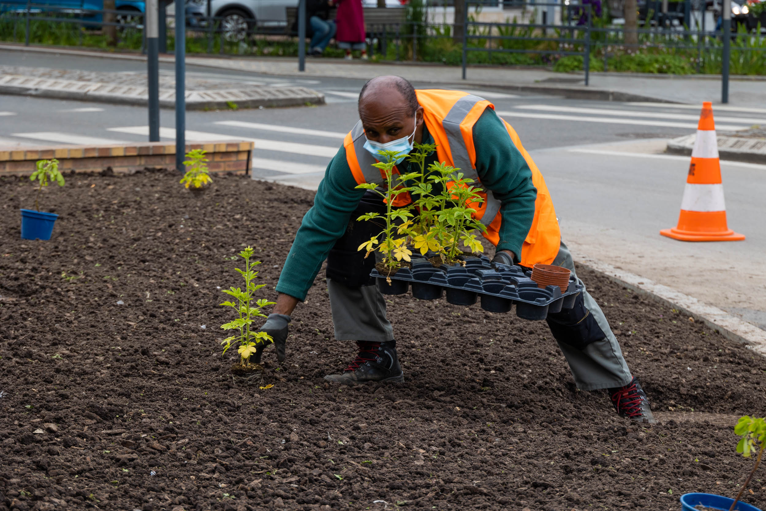 Fleurissement estival 2021, Vanves : jardinier