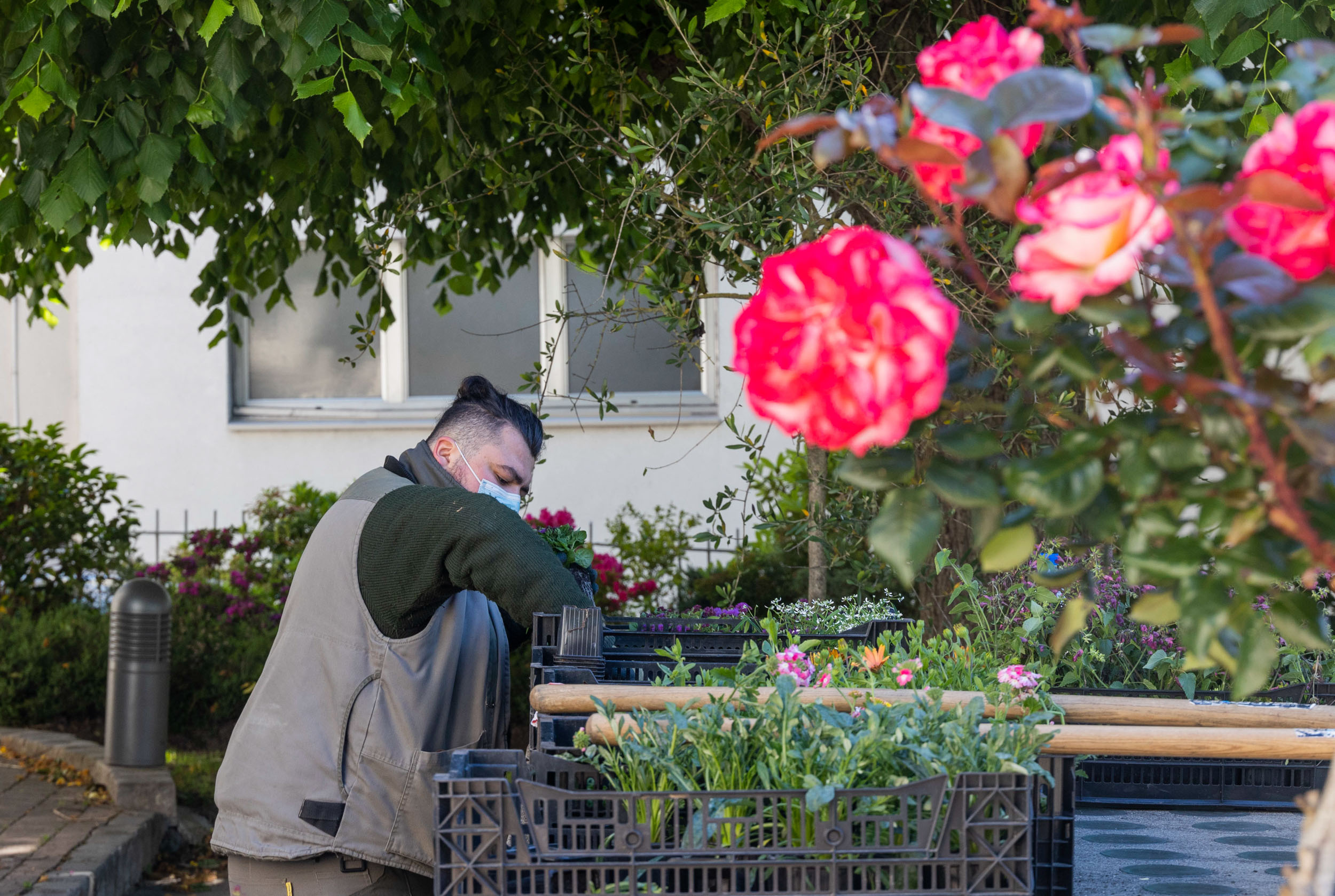 Jardiniers à Ville-d'Avray, fleurissement estival 2021