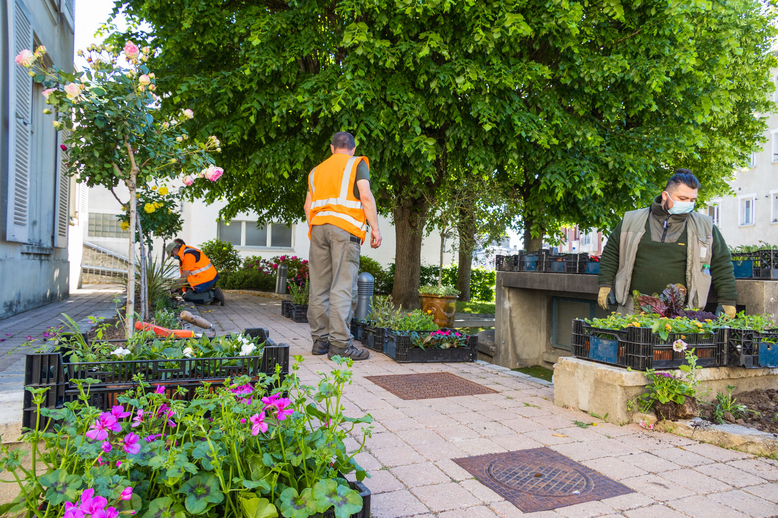 Jardiniers à Ville-d'Avray, fleurissement estival 2021