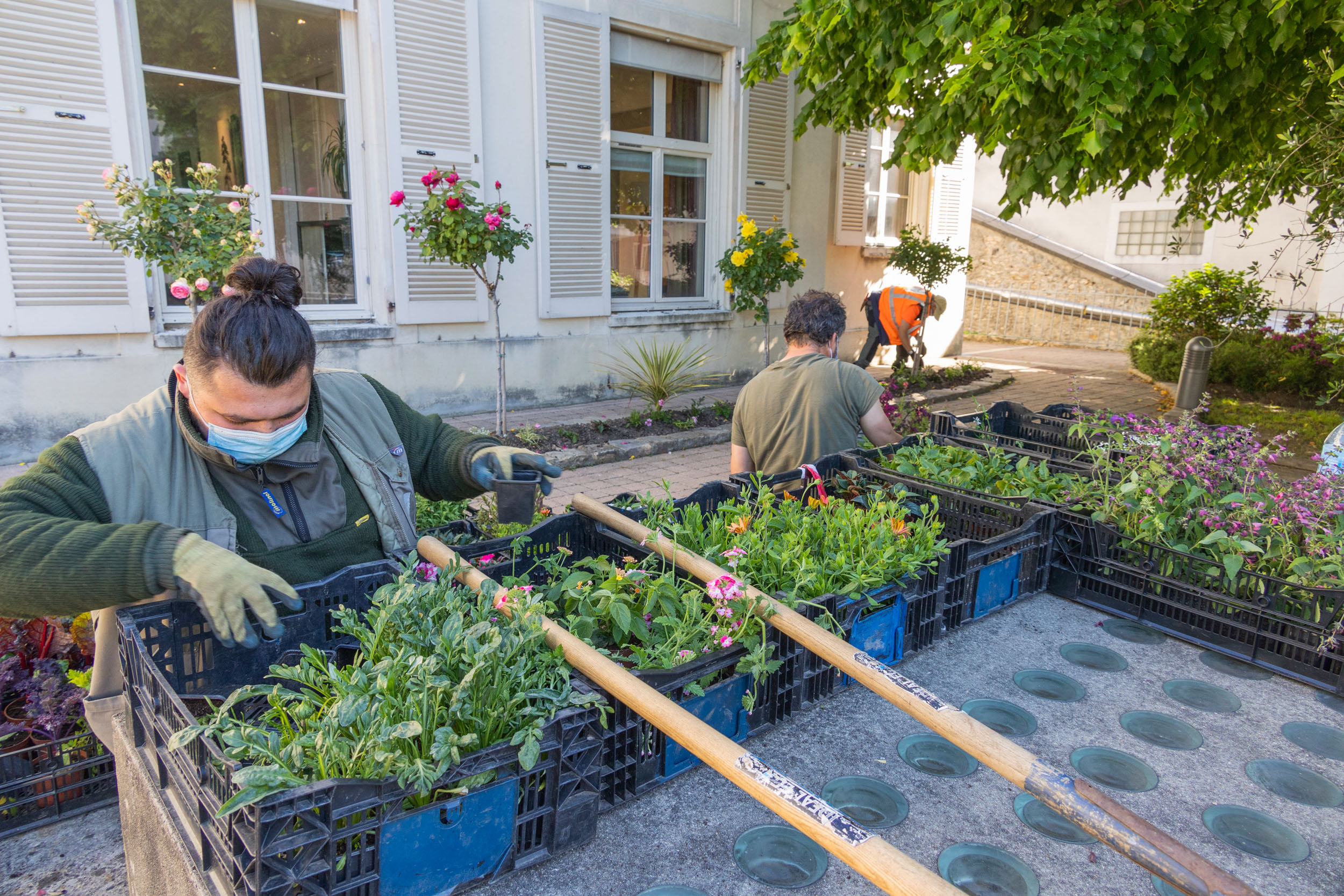 Jardiniers à Ville-d'Avray, fleurissement estival 2021