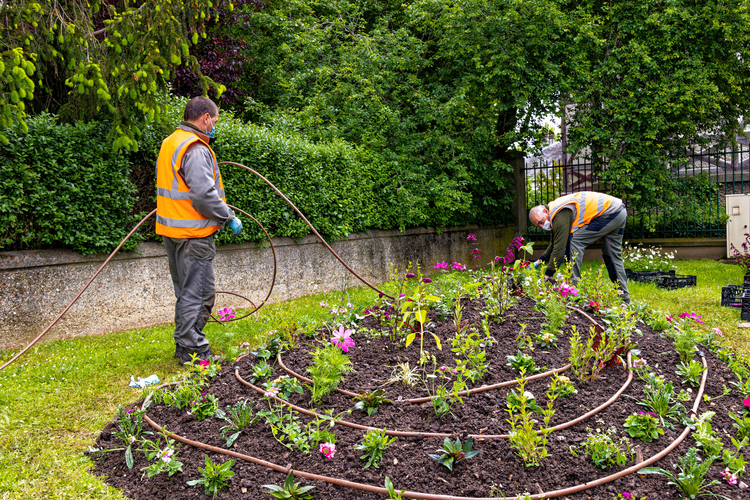 Jardiniers à Ville-d'Avray, fleurissement estival 2021