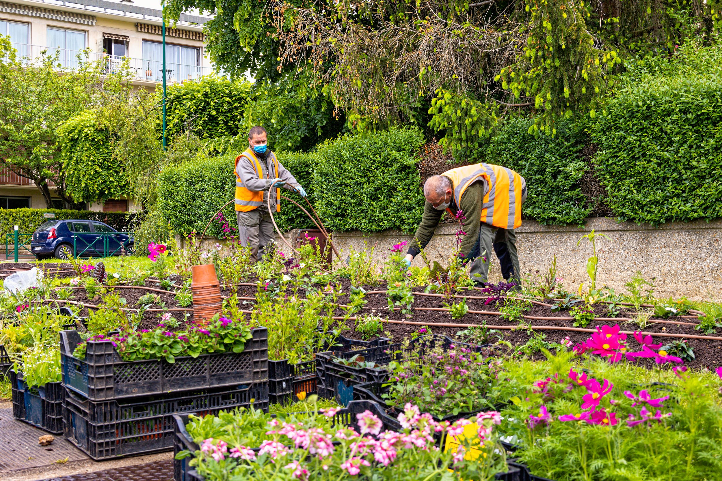 Jardiniers à Ville-d'Avray, fleurissement estival 2021