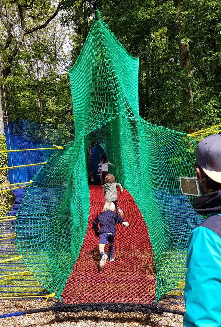 Nouveauté au complexe sportif Marcel Bec : des filets dans les arbres pour  explorer la forêt