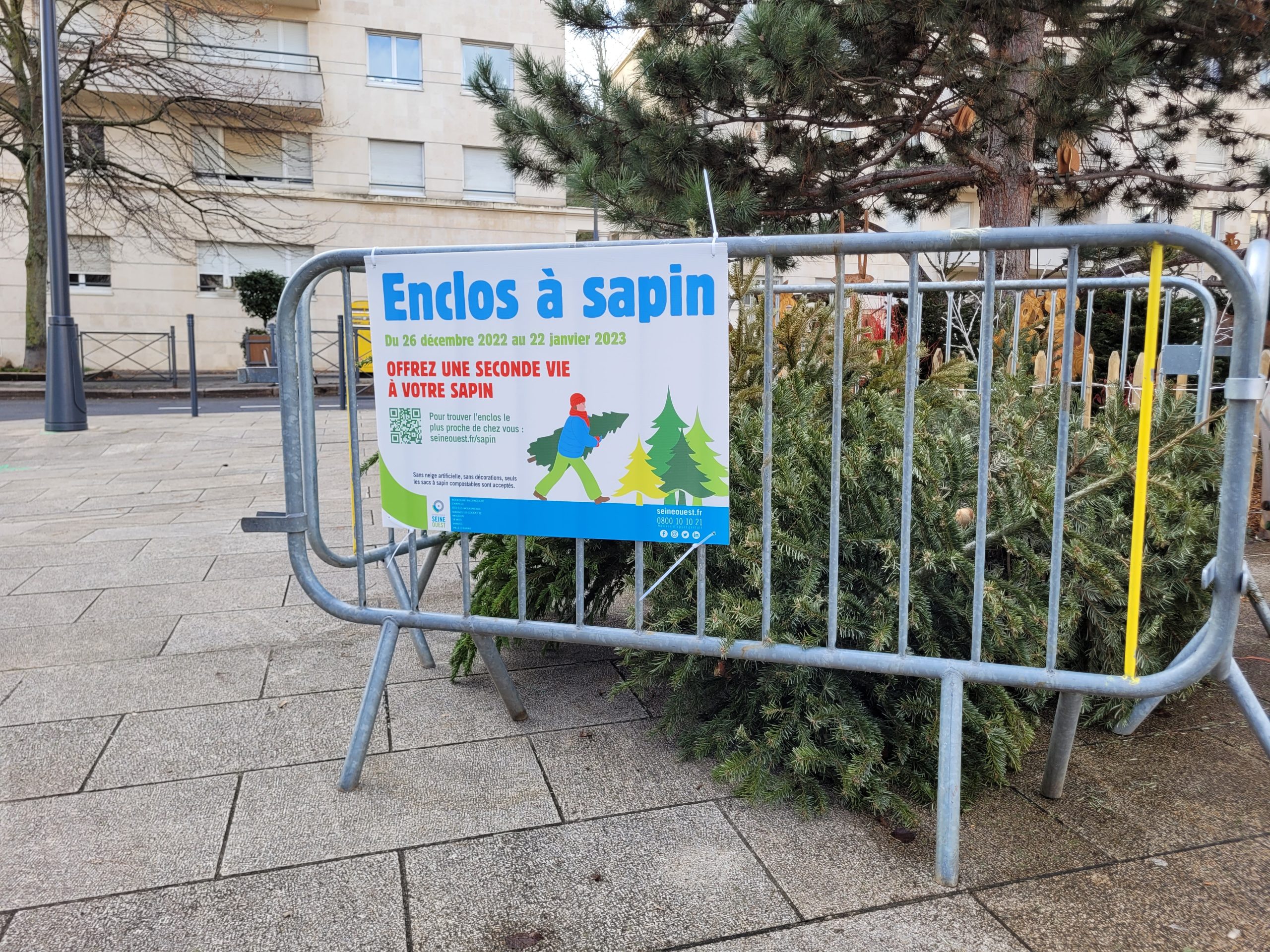 Enclos à sapin à Meudon, 2022