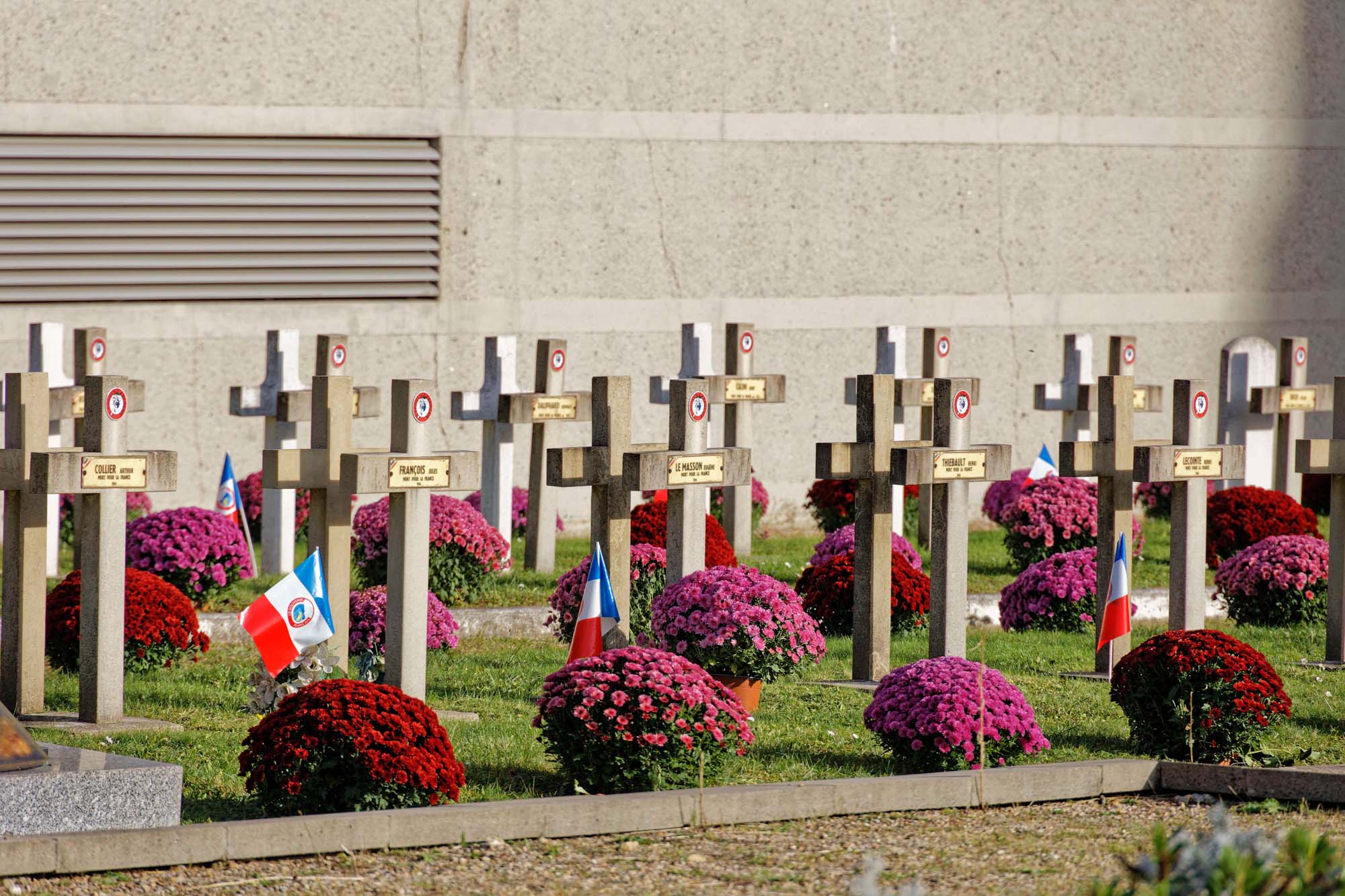 Chrysanthèmes d'automne au cimetière Pierre Grenier, Boulogne-Billancourt
