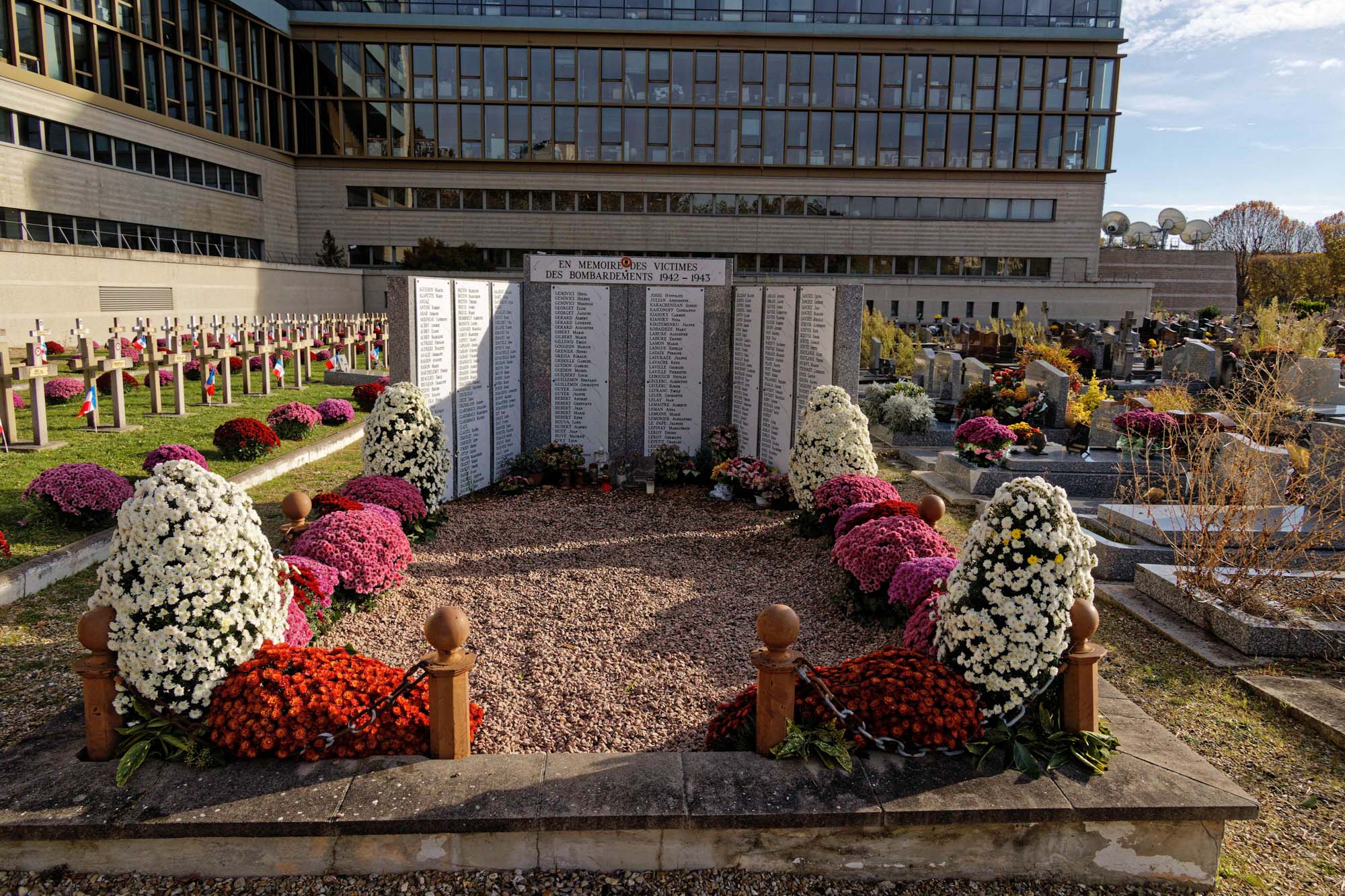 Chrysanthèmes d'automne au cimetière Pierre Grenier, Boulogne-Billancourt