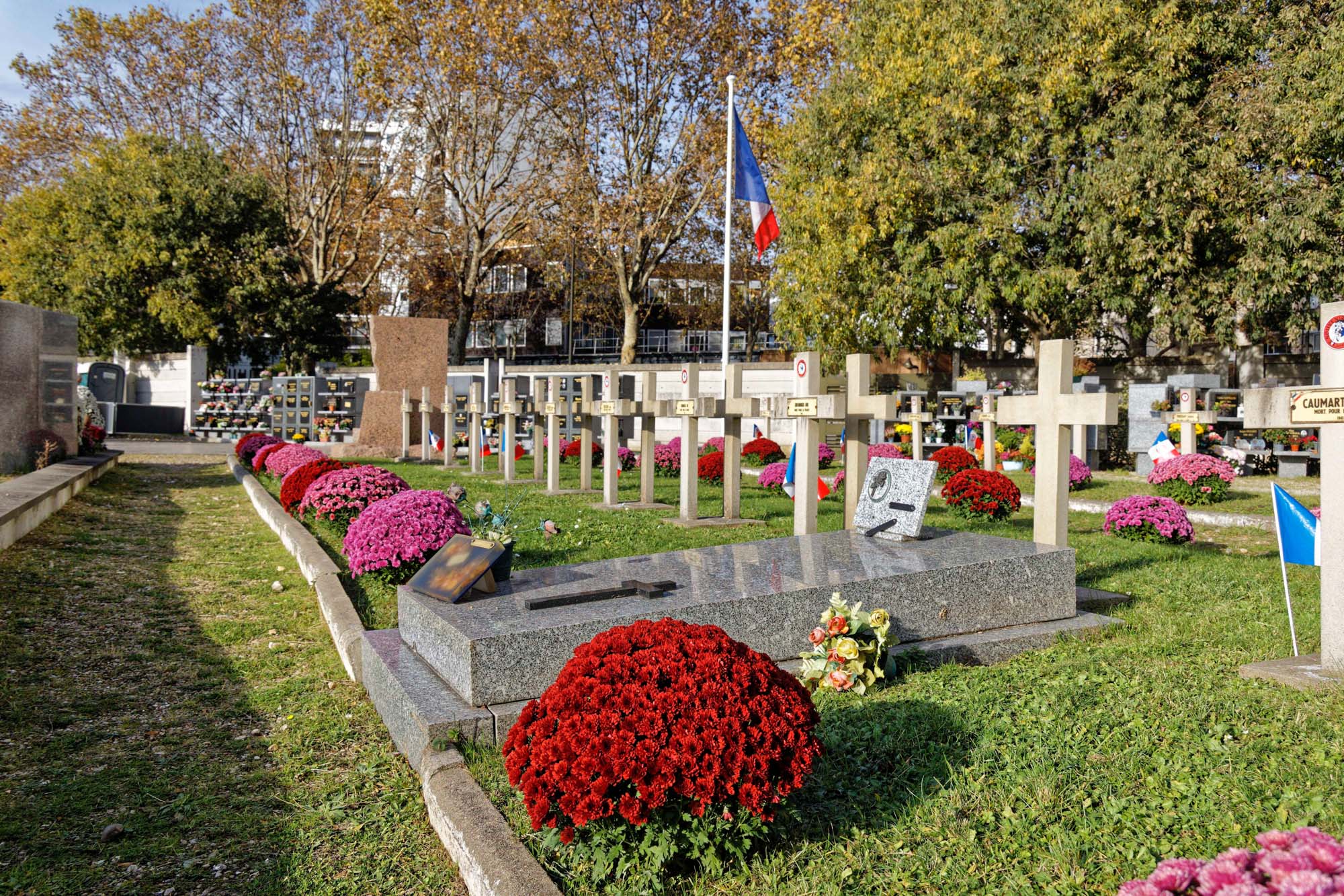 Chrysanthèmes d'automne au cimetière Pierre Grenier, Boulogne-Billancourt