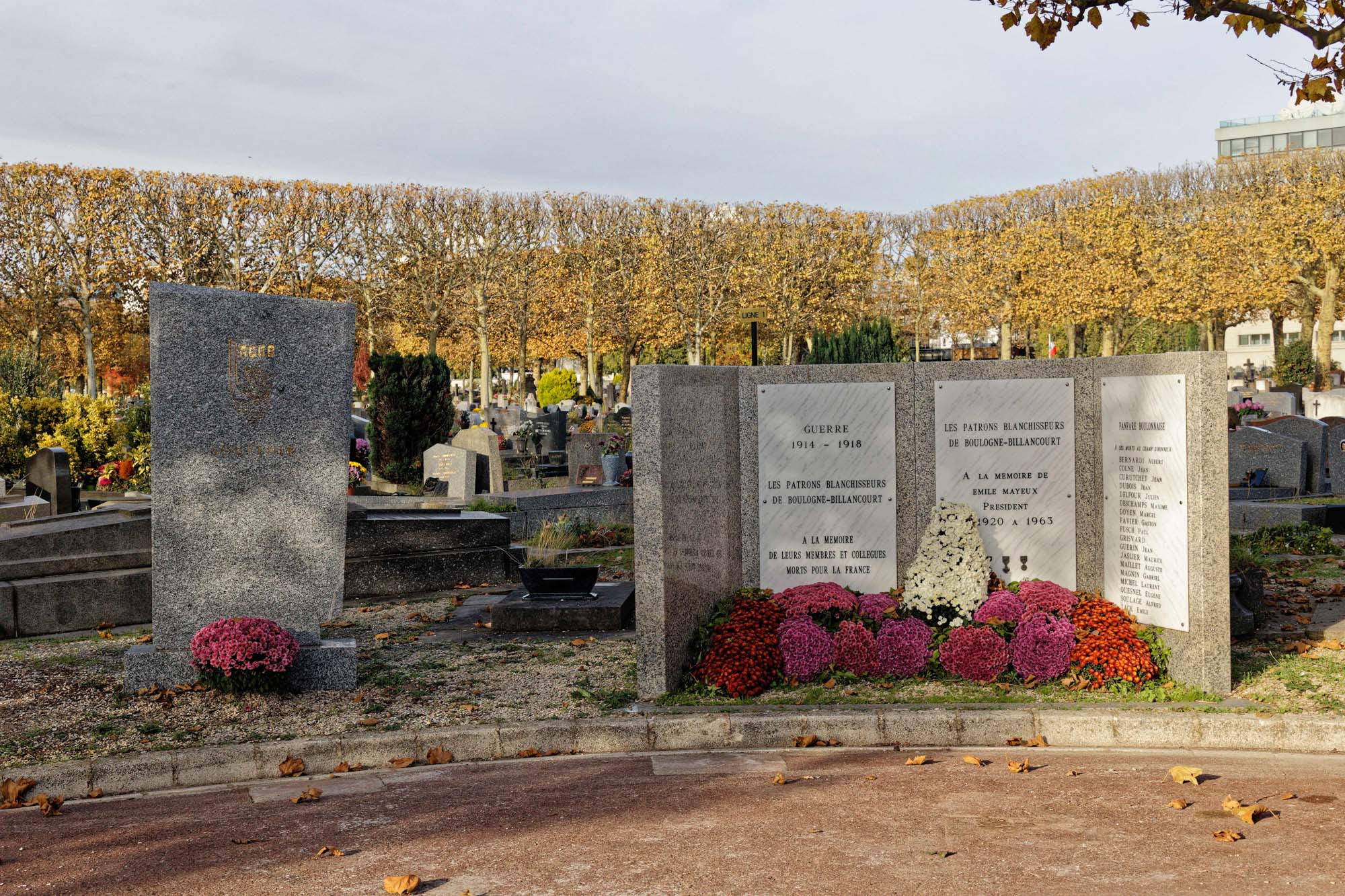 Chrysanthèmes d'automne au cimetière Pierre Grenier, Boulogne-Billancourt