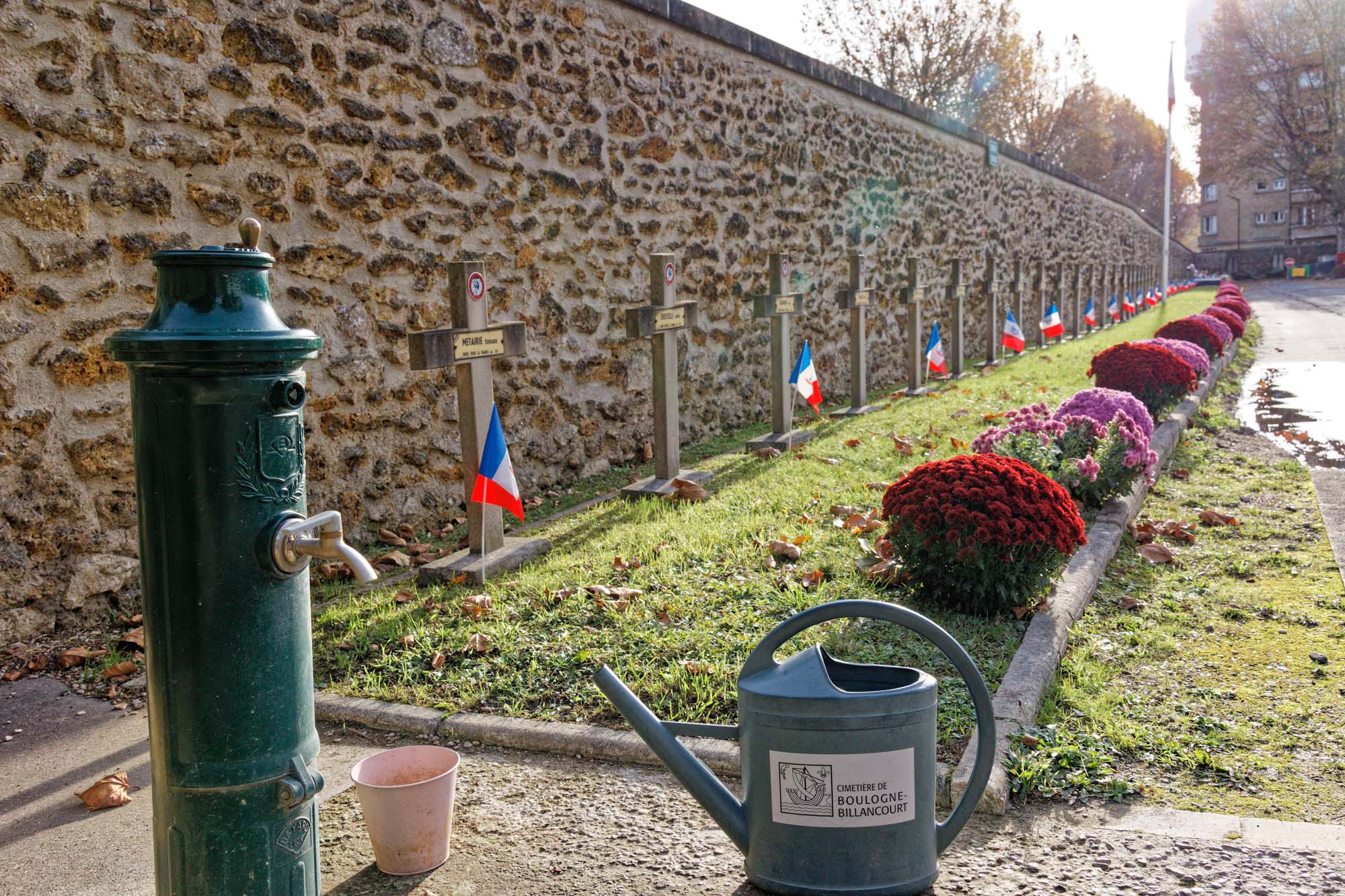 Chrysanthèmes d'automne au cimetière Pierre Grenier, Boulogne-Billancourt