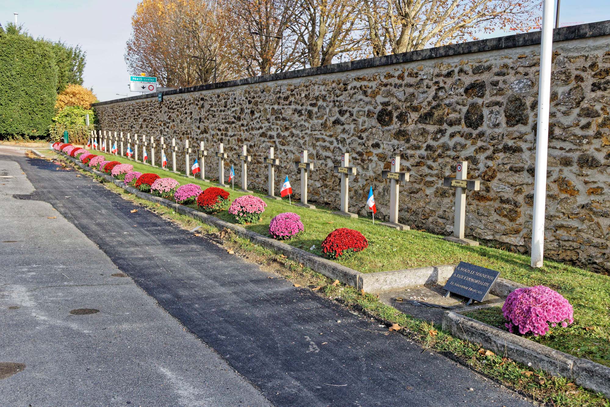 Chrysanthèmes d'automne au cimetière Pierre Grenier, Boulogne-Billancourt