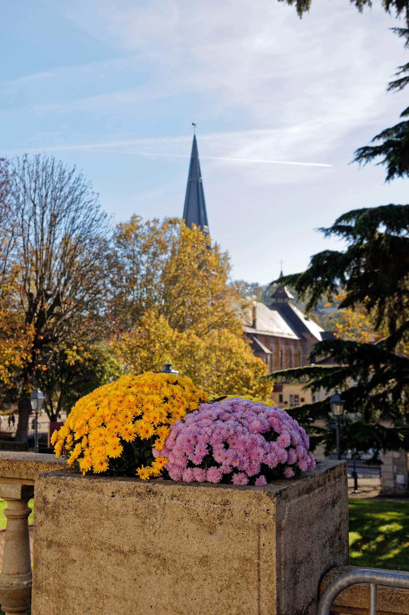 Chrysanthèmes d'automne, hôtel de ville de Chaville