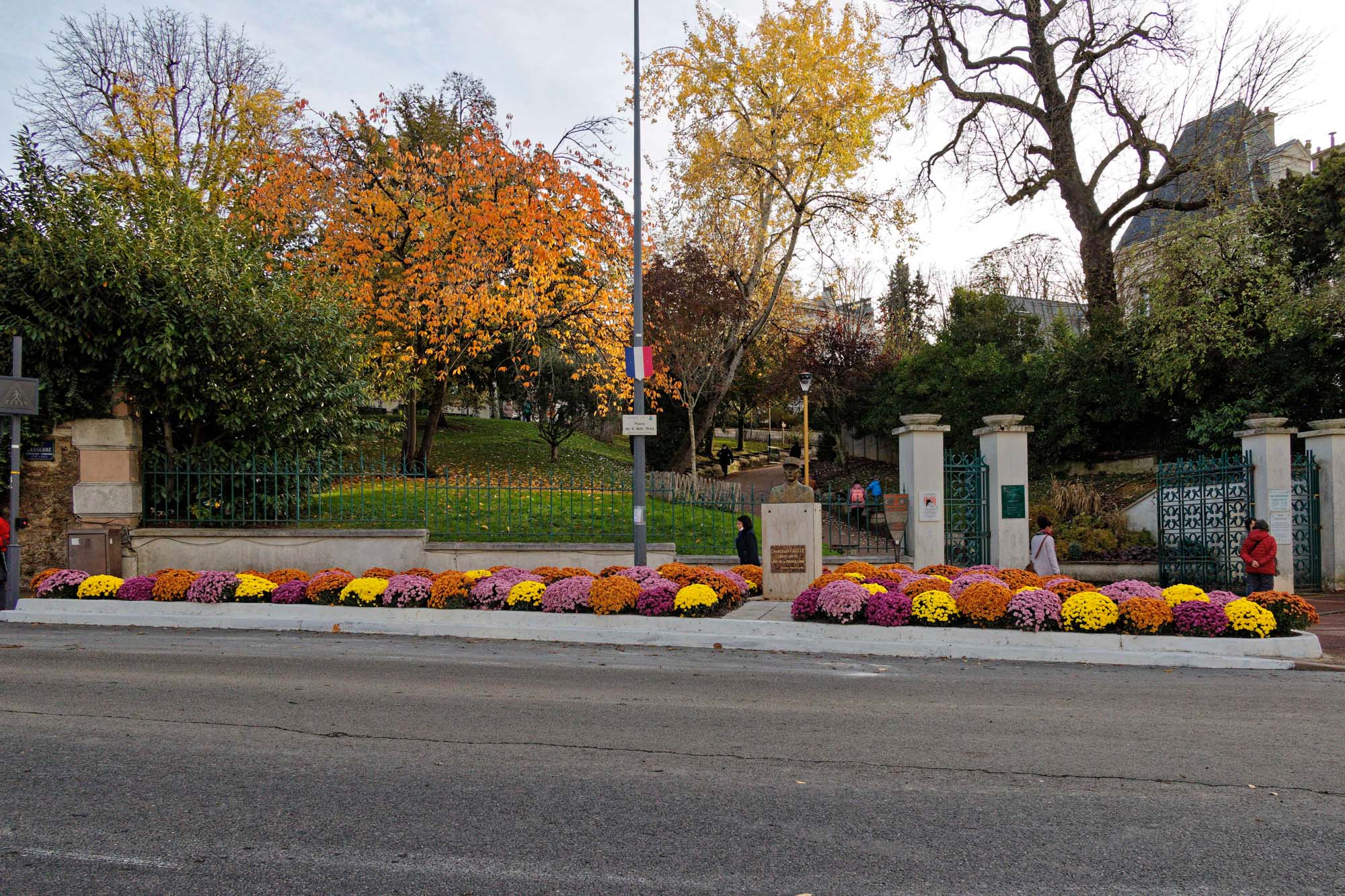 Chrysanthèmes d'automne, Issy-les-Moulineaux