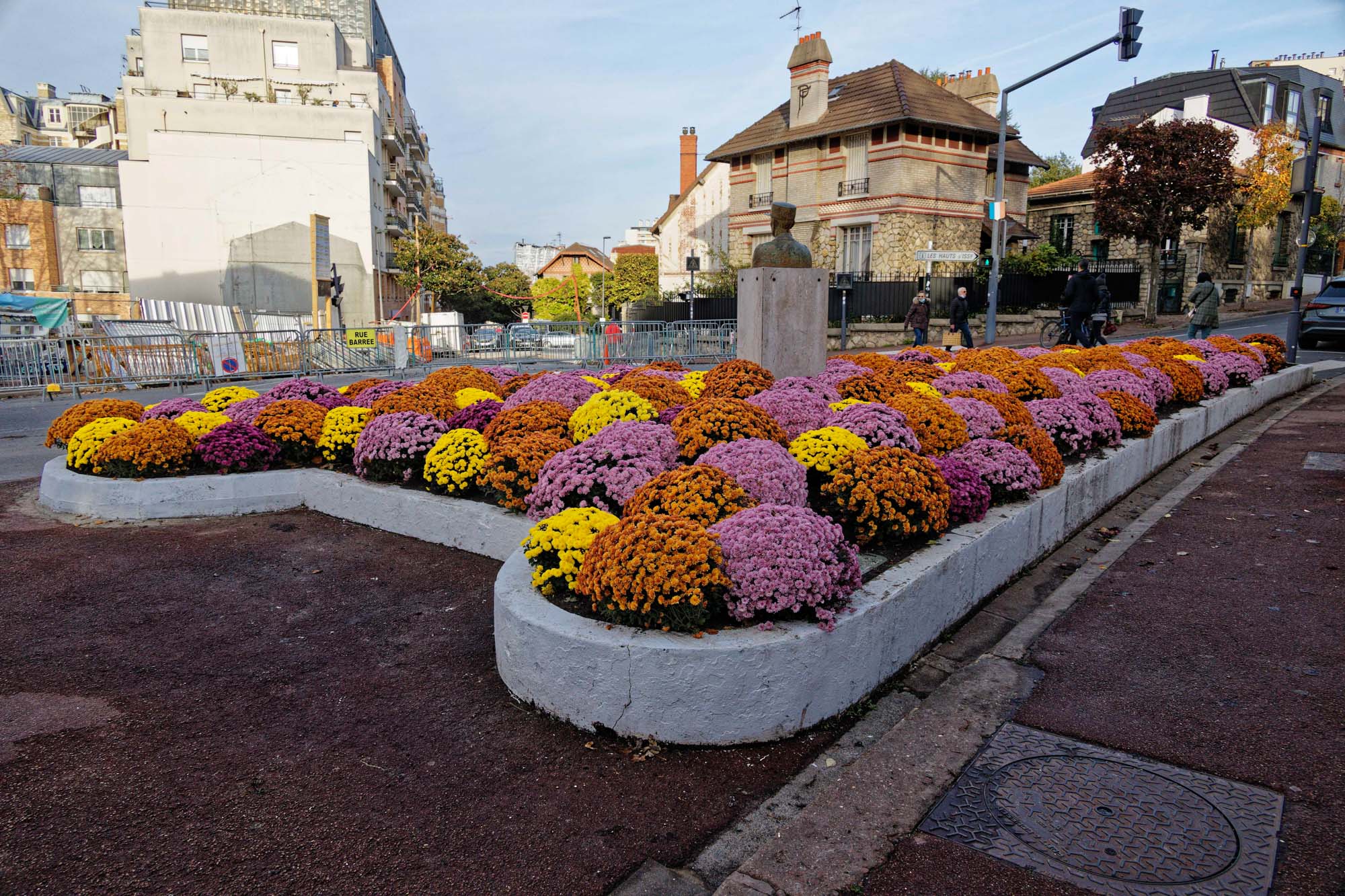 Chrysanthèmes d'automne, Issy-les-Moulineaux