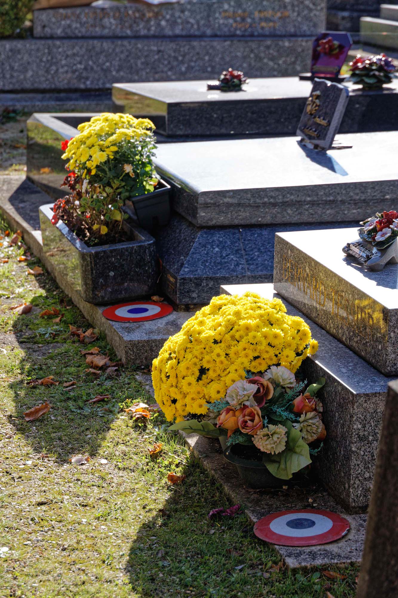 Chrysanthèmes d'automne, Sèvres