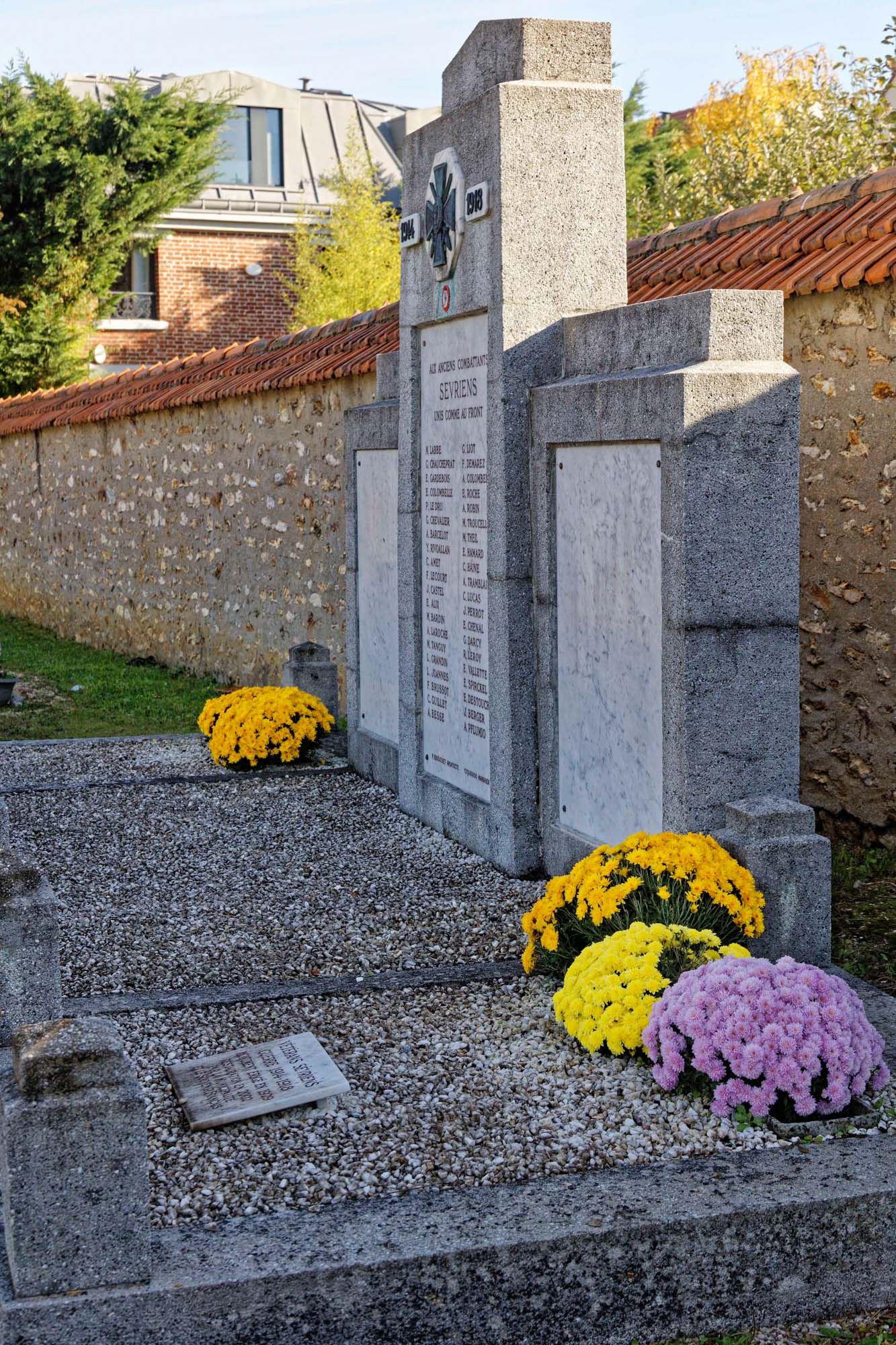 Chrysanthèmes d'automne, Sèvres