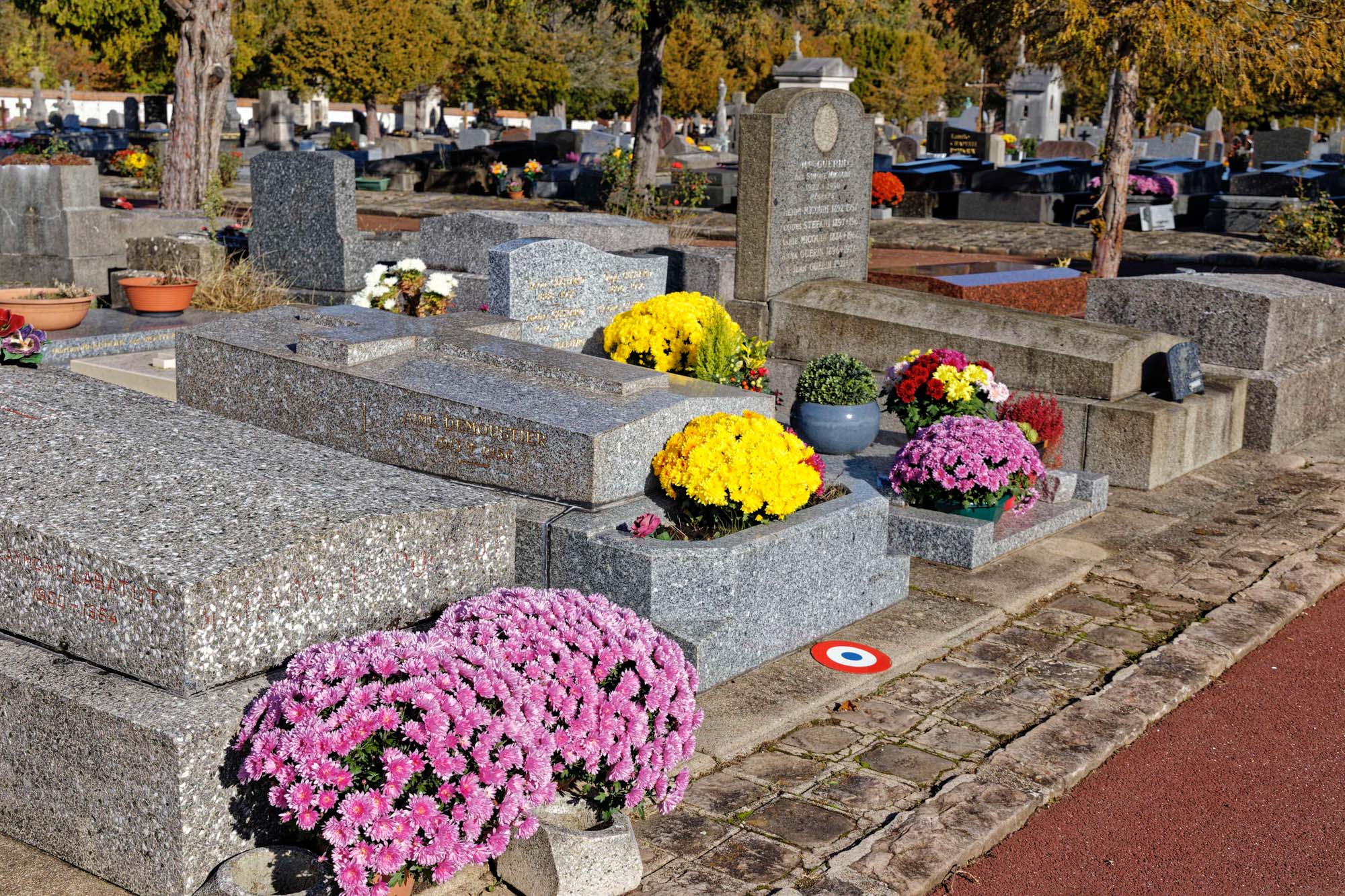 Chrysanthèmes d'automne, Sèvres