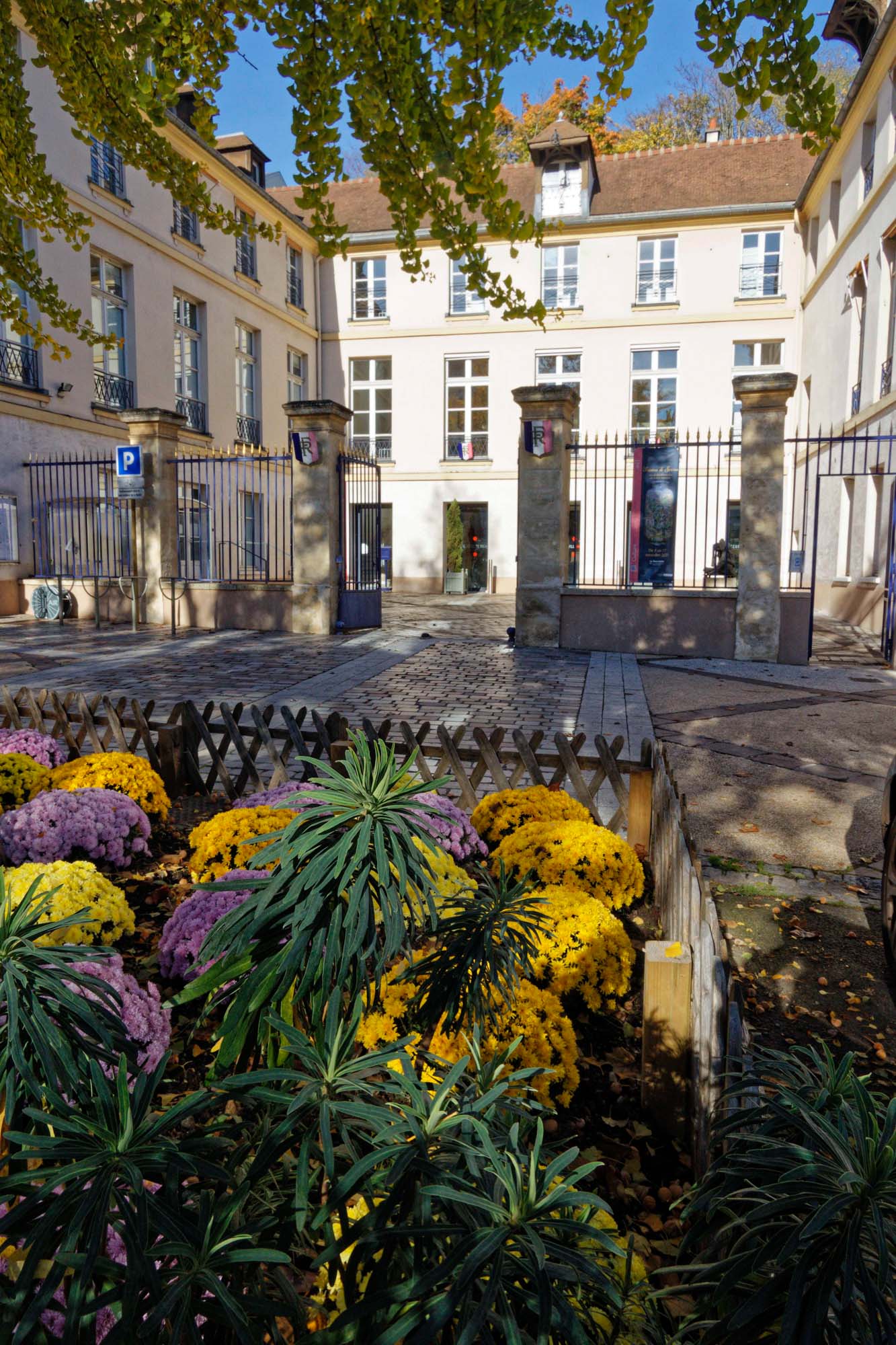 Chrysanthèmes d'automne, Sèvres