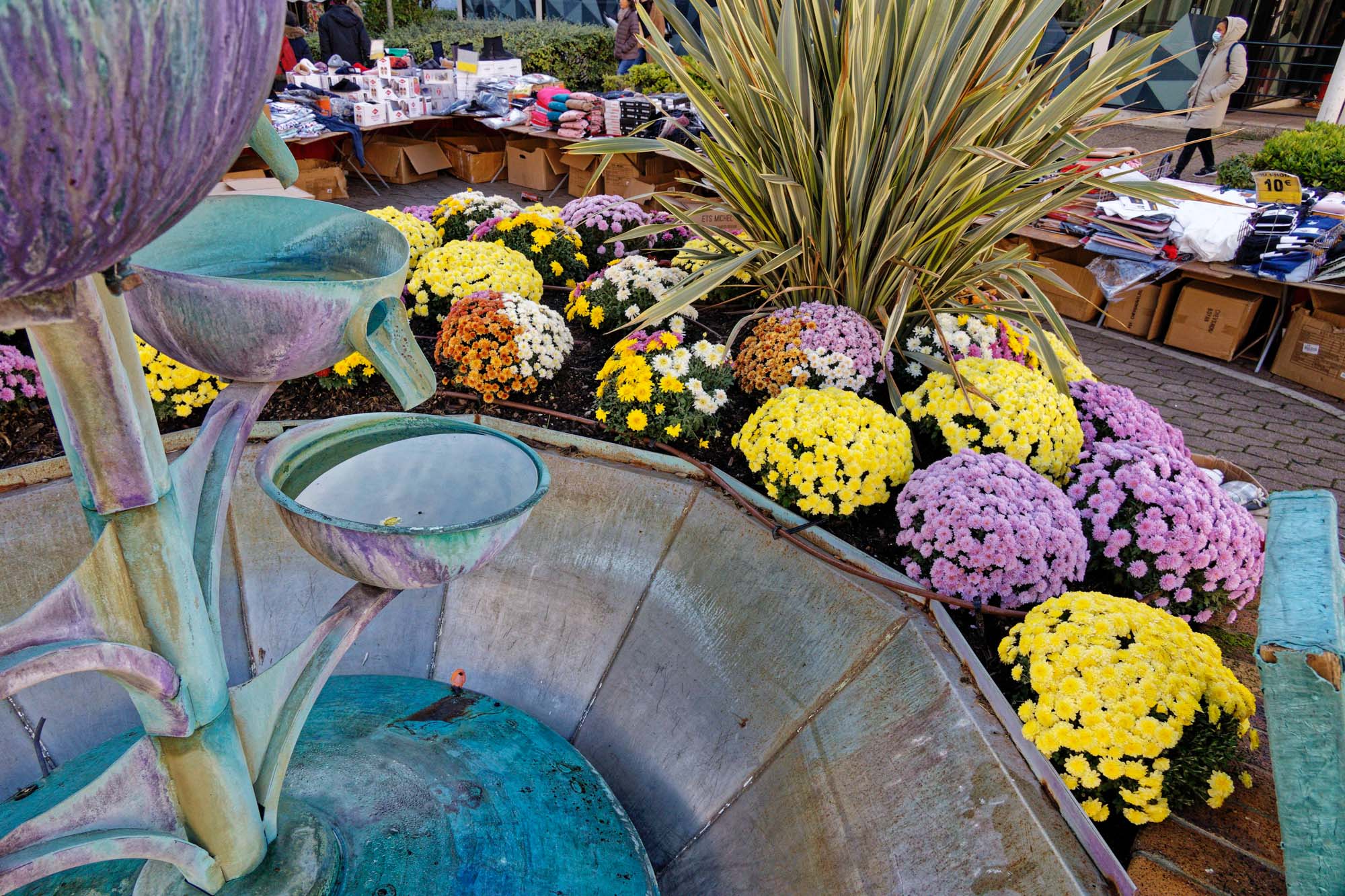 Chrysanthèmes d'automne, Sèvres
