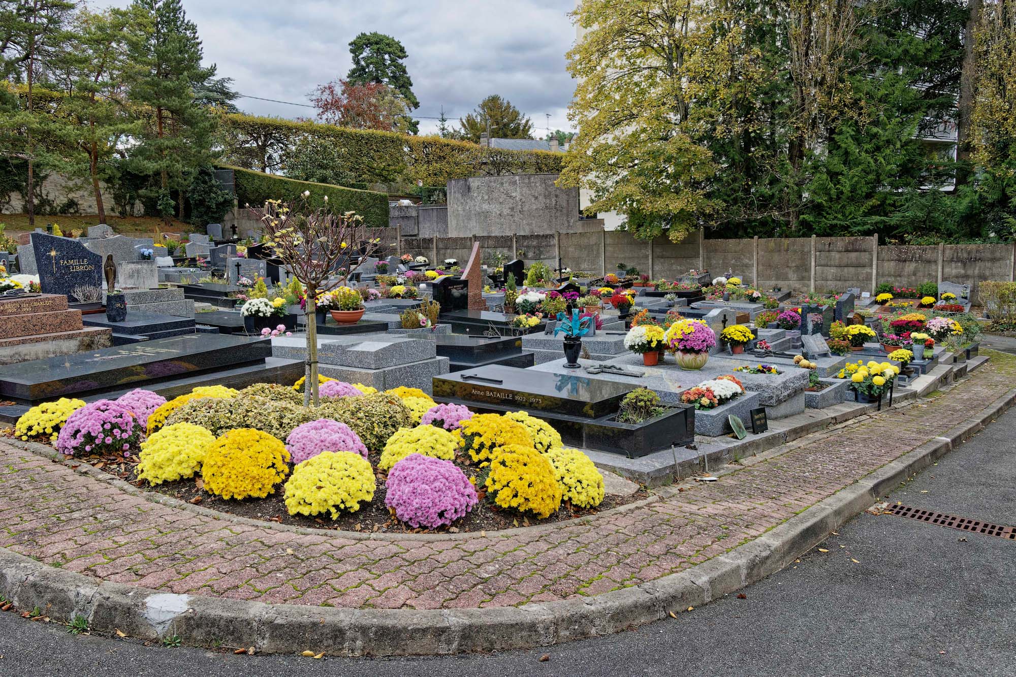 Chrysanthèmes d'automne, Ville-d'Avray