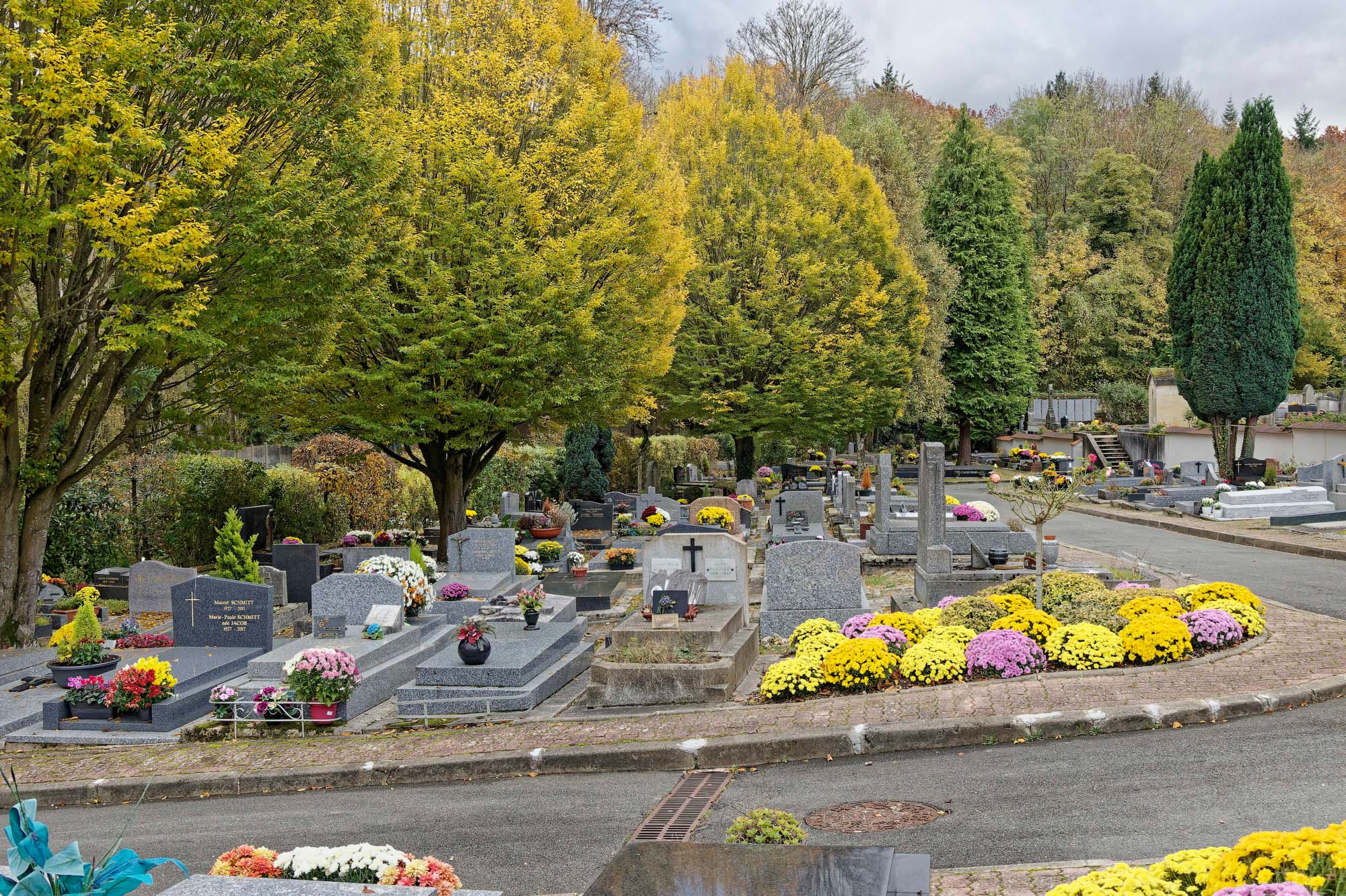 Chrysanthèmes d'automne, Ville-d'Avray