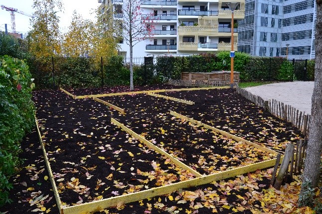 Jardins partagés Henri Barbusse à Issy-les-Moulineaux