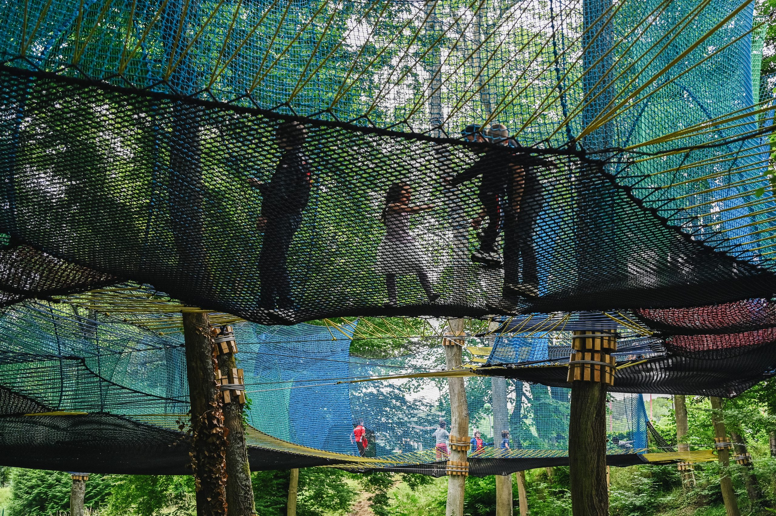 Ecopark Legends - parc filet dans la forêt de Meudon